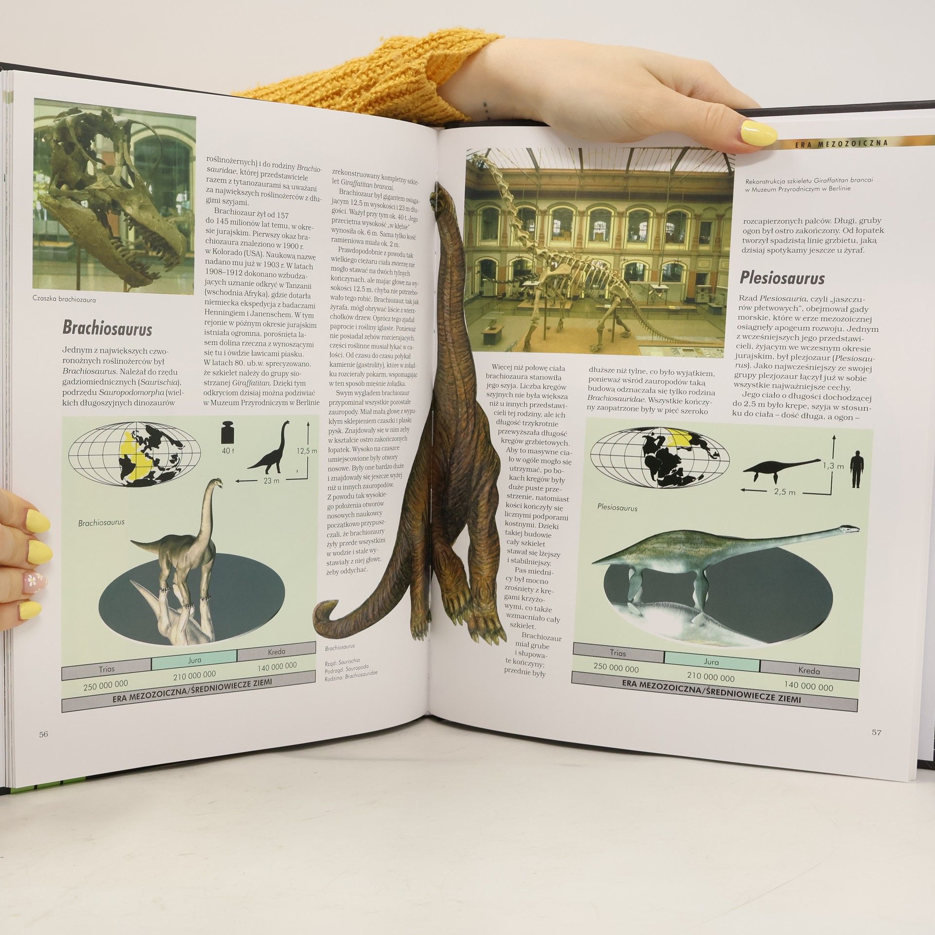Collectif d'auteurs Dinozaury