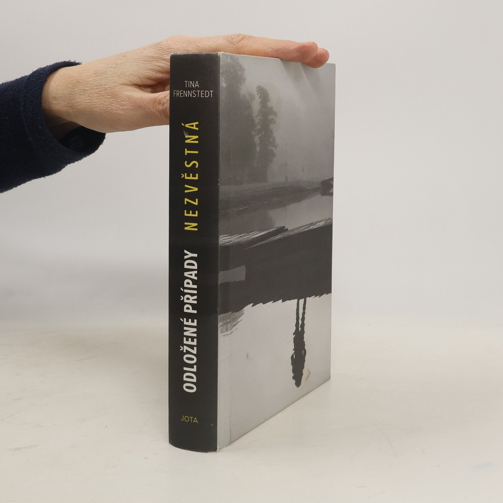Tina Frennstedt Odložené případy. Nezvěstná