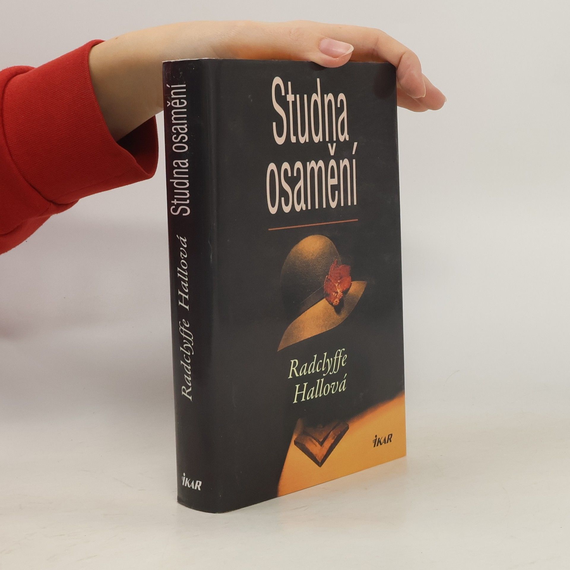 Radclyffe Hall Studna osamění