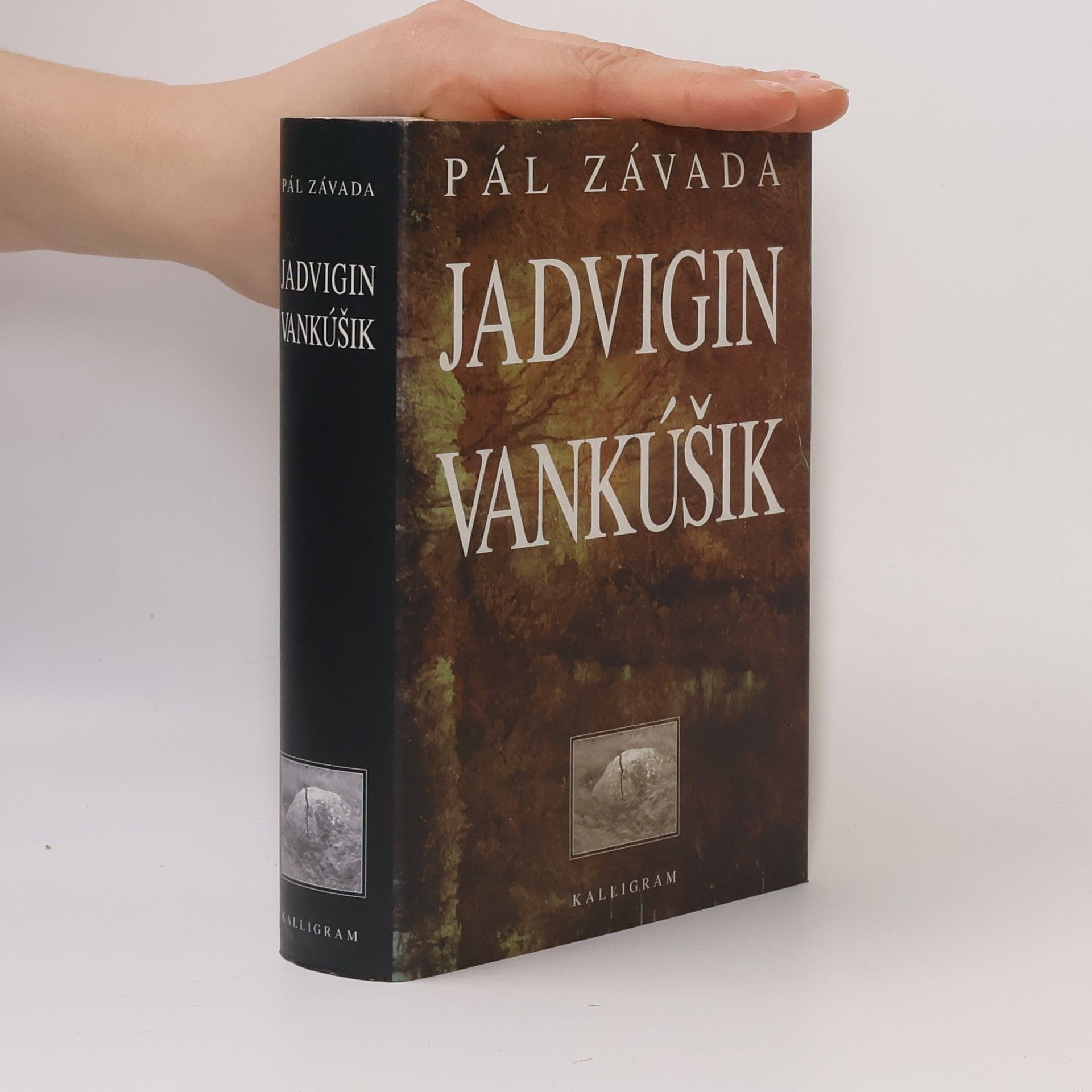 Pál Závada Jadvigin vankúšik