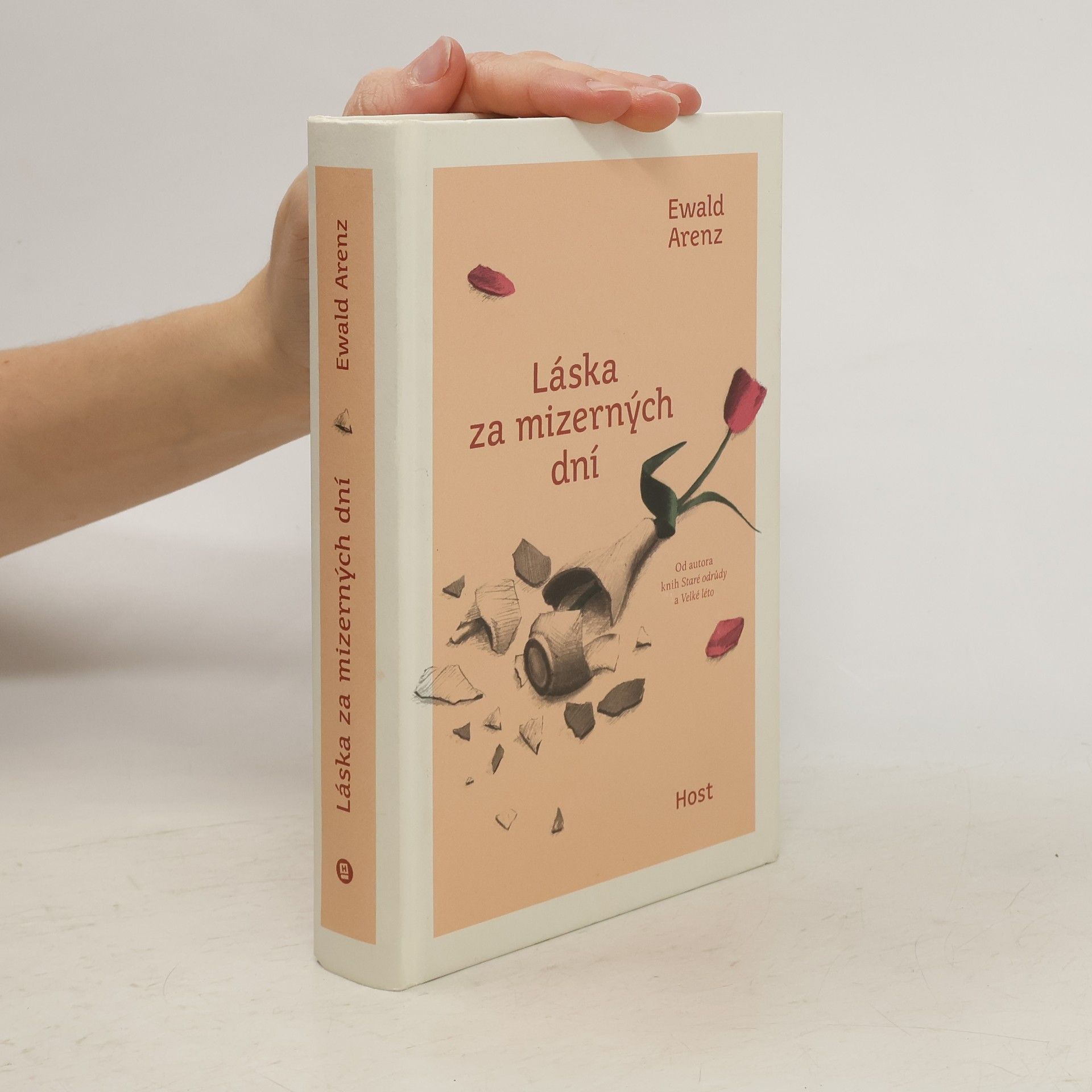 Ewald Arenz Láska za mizerných dní