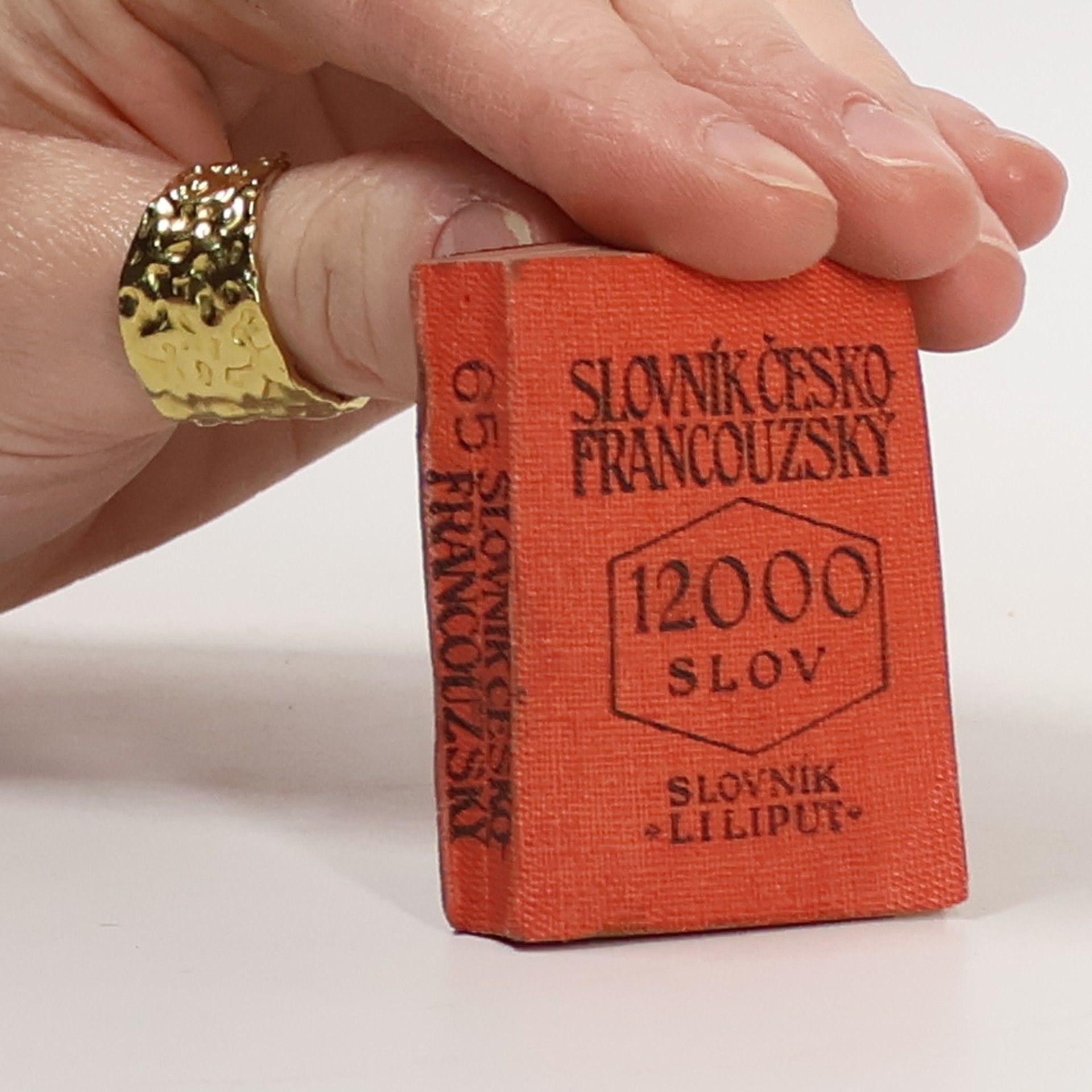 Martha Meyer Liliput. Slovník česko-francouzský