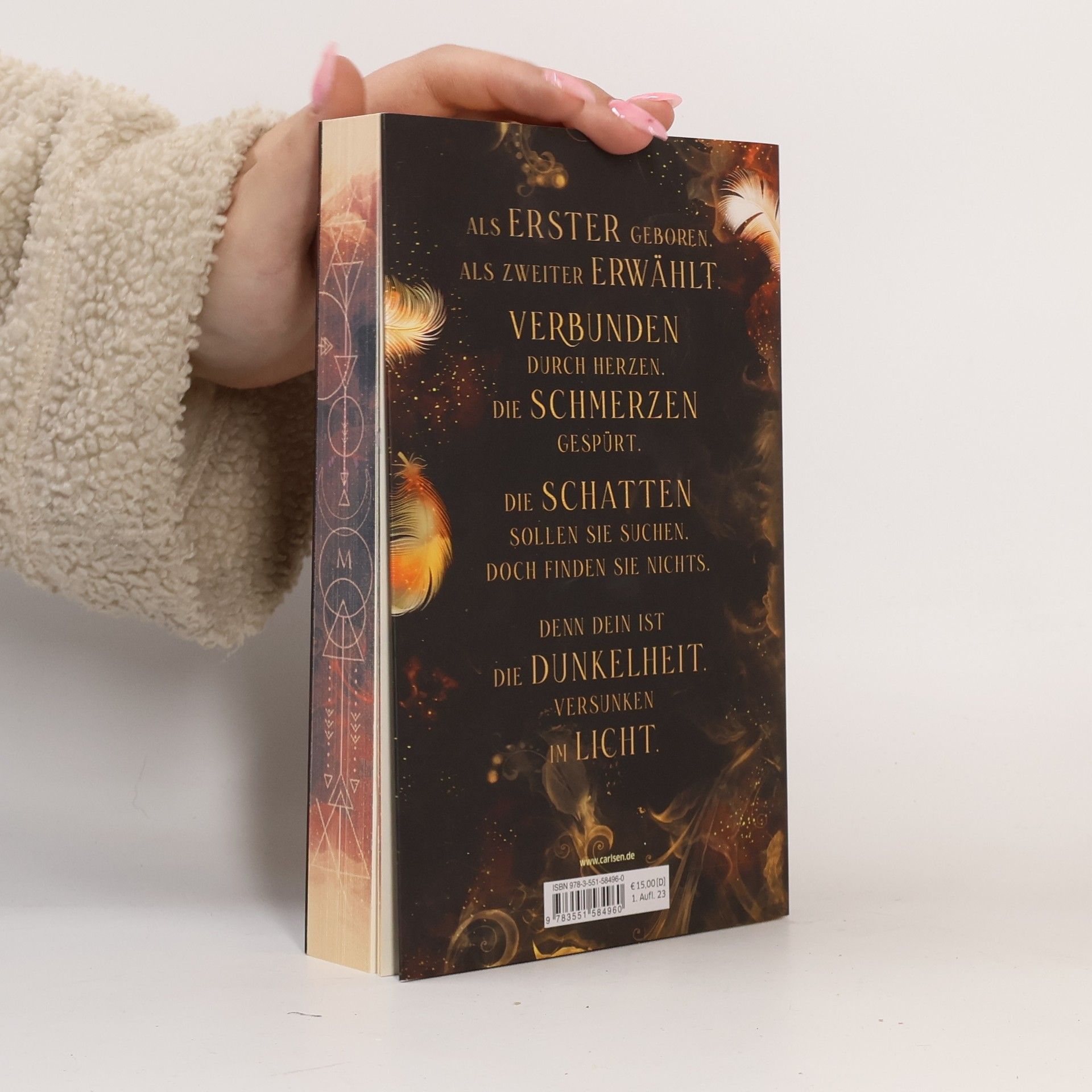 Dana Müller-Braun Fallen Kingdom 2: Zerbrochene Wahrheit