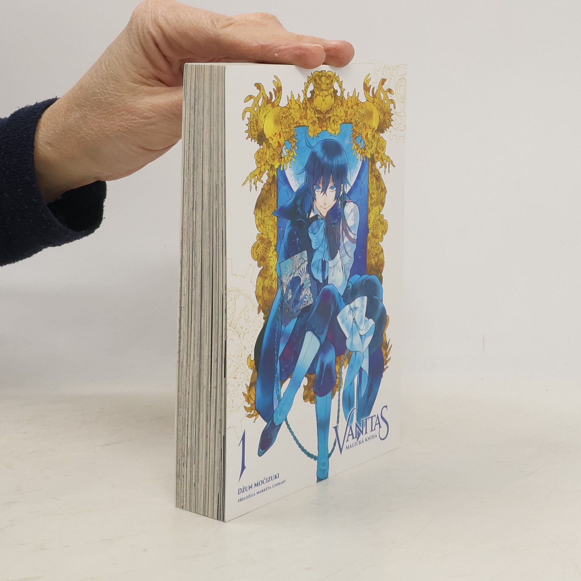 Jun Mochizuki Vanitas 1