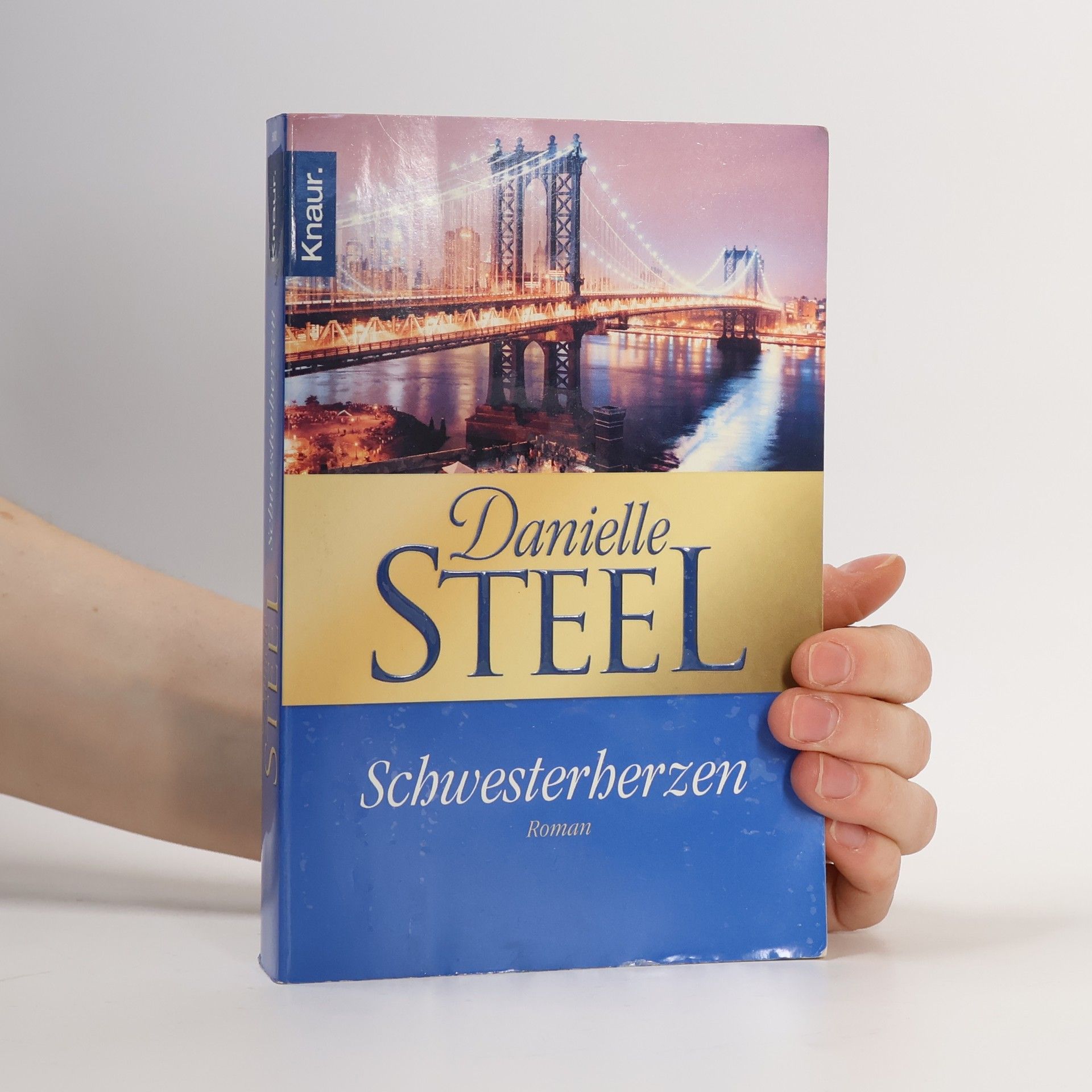 Danielle Steel Schwesterherzen