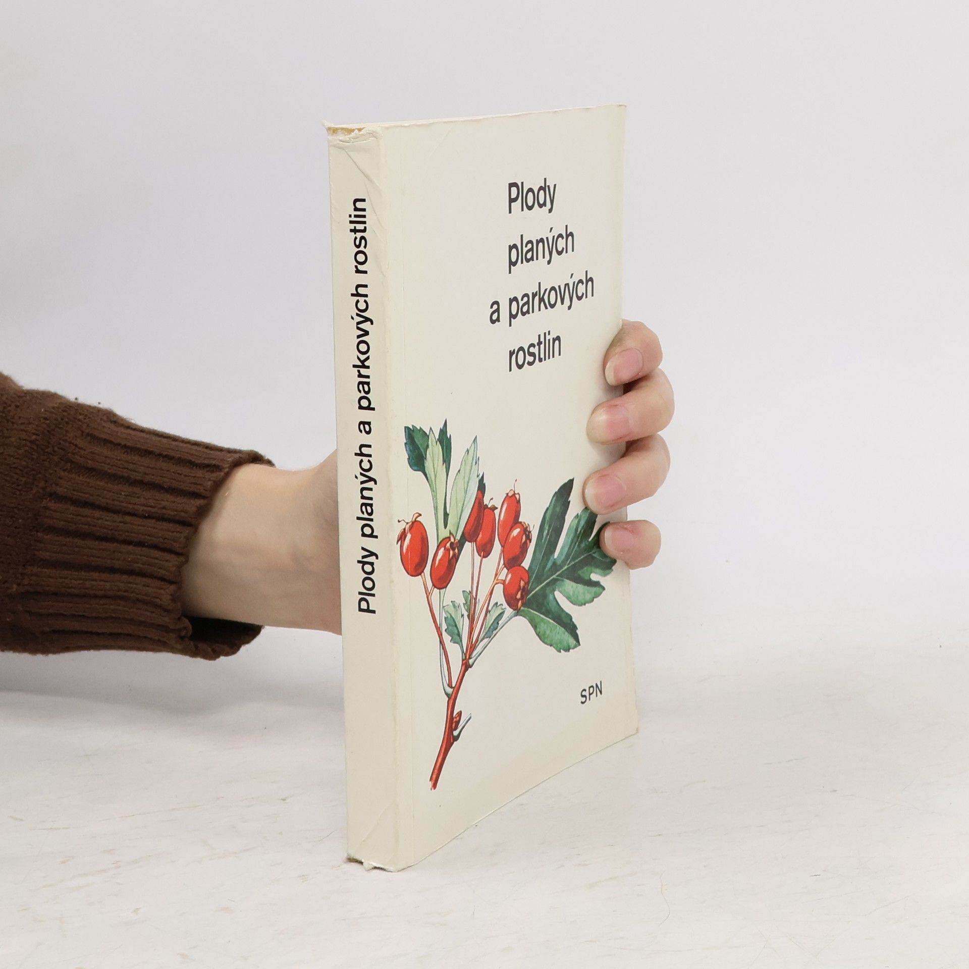 Plody planých a parkových rostlin : kapesní atlas : pomocná kniha pro biologické zájmové kroužky na školách, v Domech pionýrů a