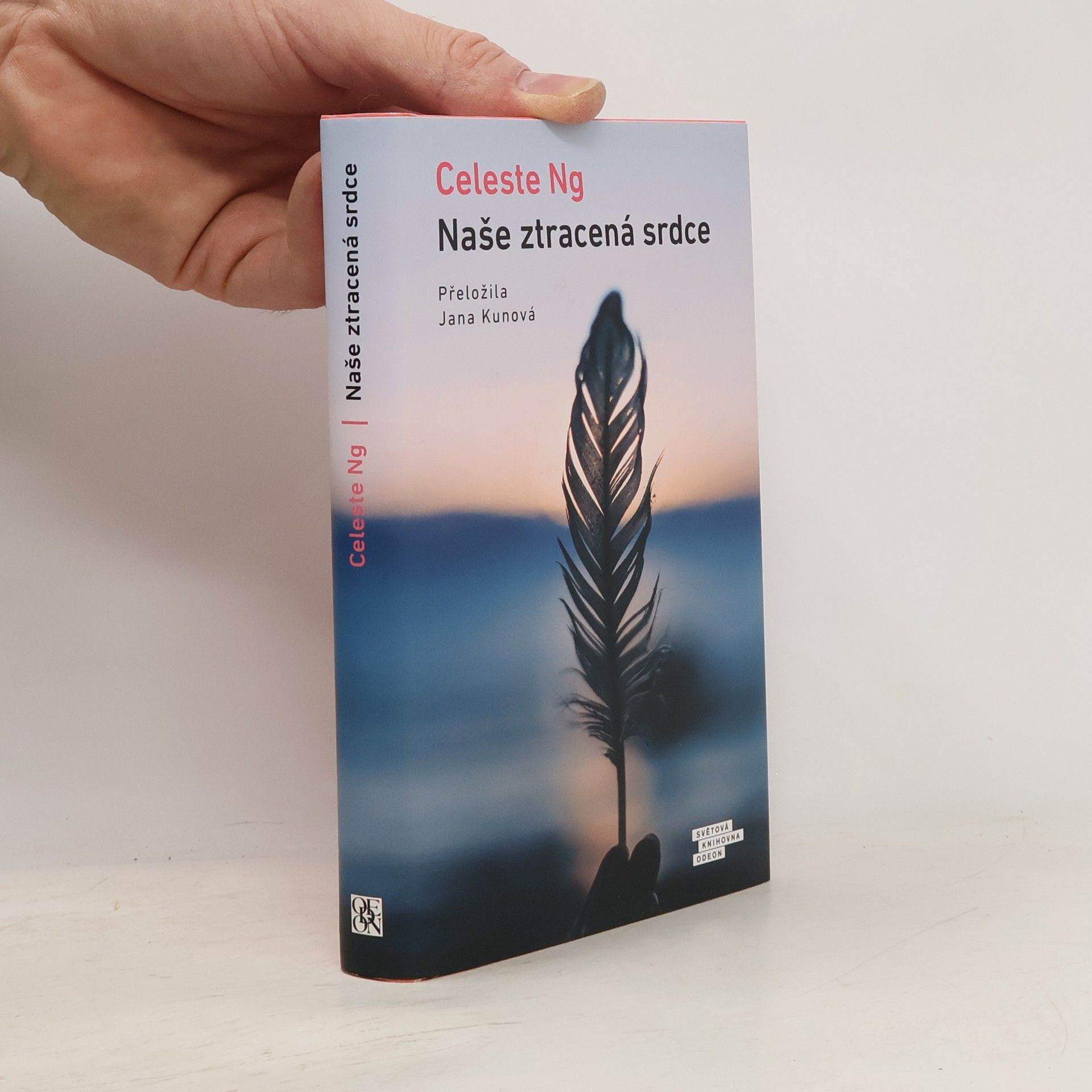 Celeste Ng Naše ztracená srdce