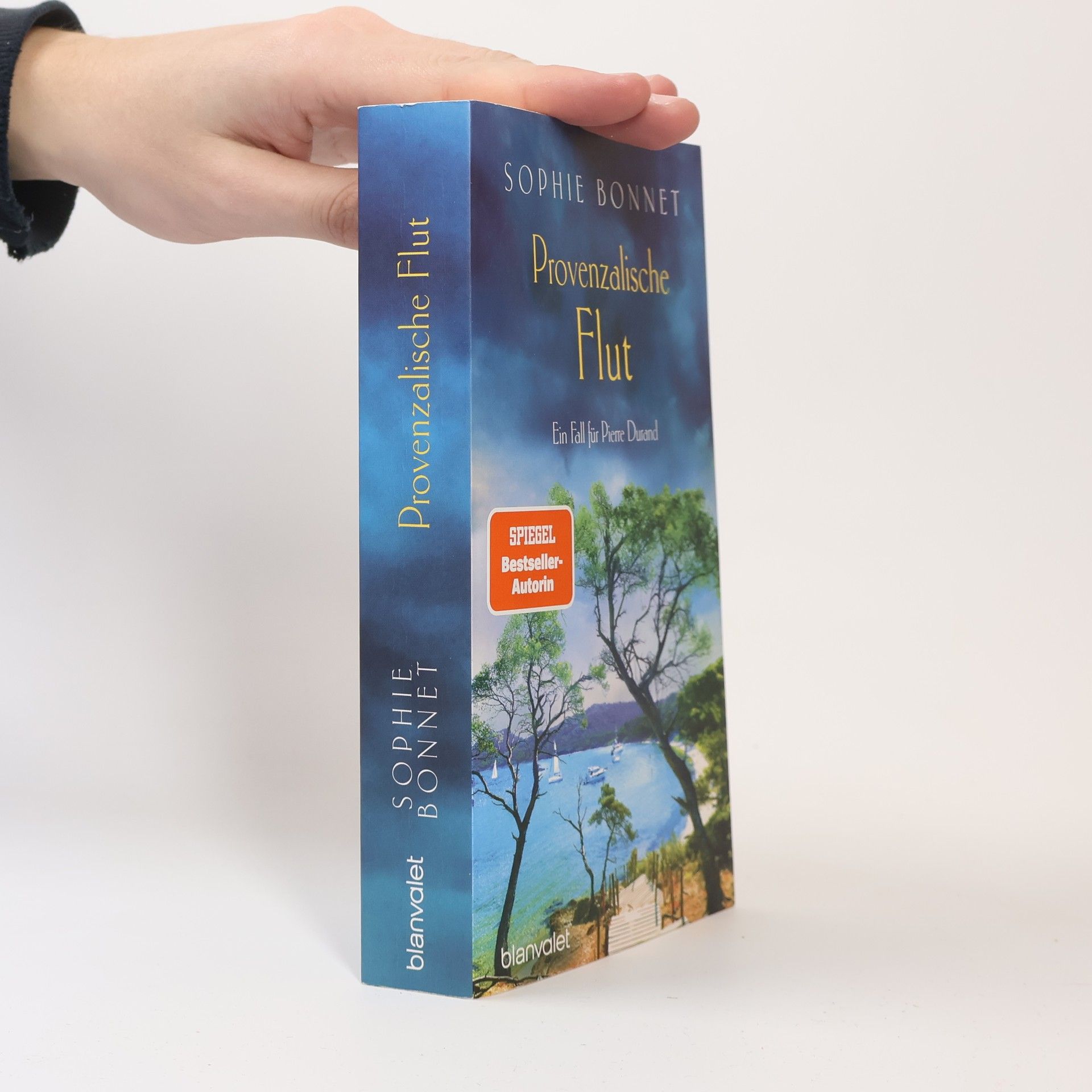 Sophie Bonnet Provenzalische Flut
