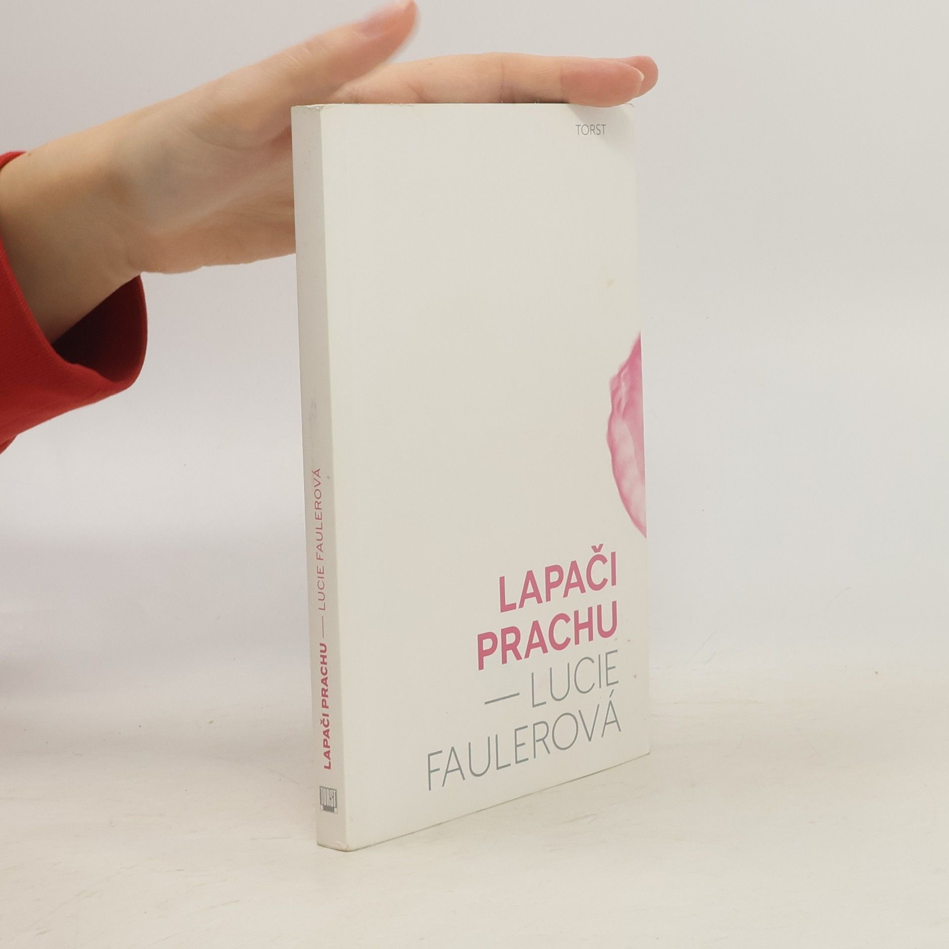 Lucie Faulerová Lapači prachu