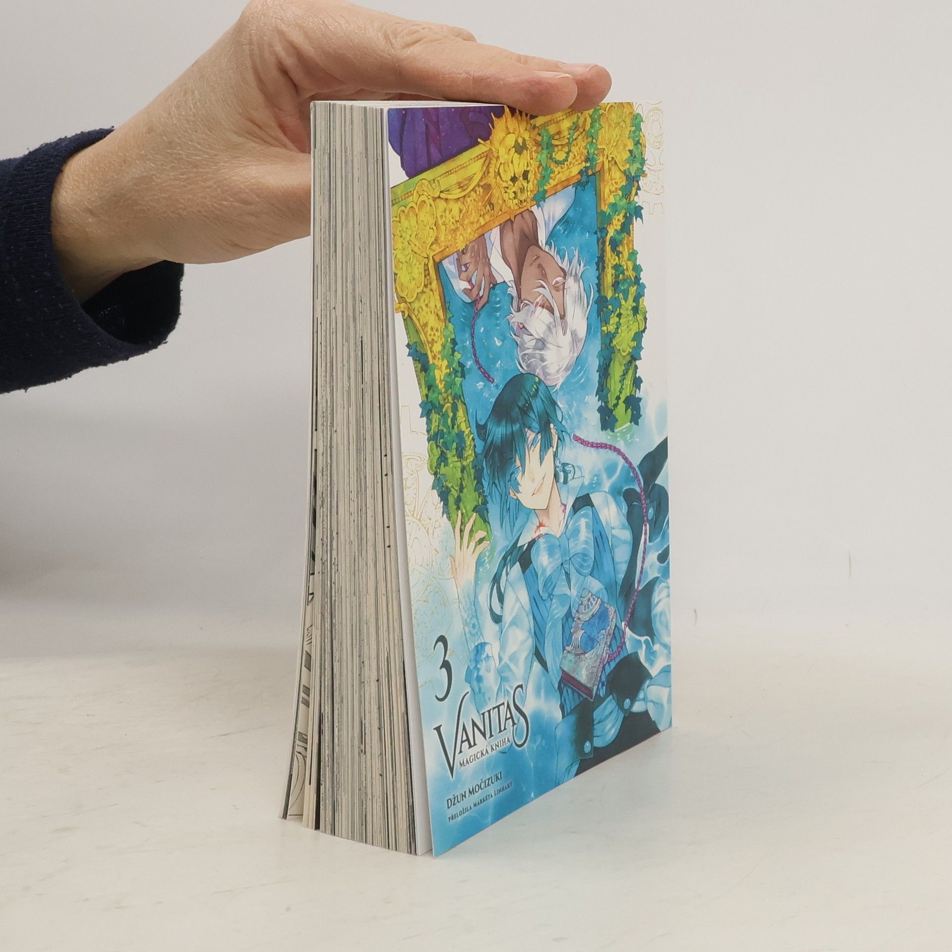 Jun Mochizuki Vanitas 3