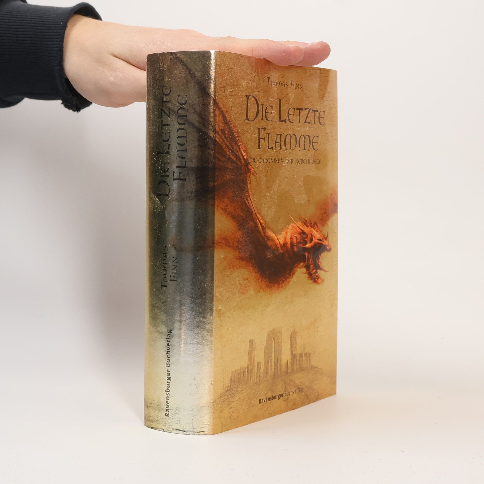 Thomas Finn Die letzte Flamme