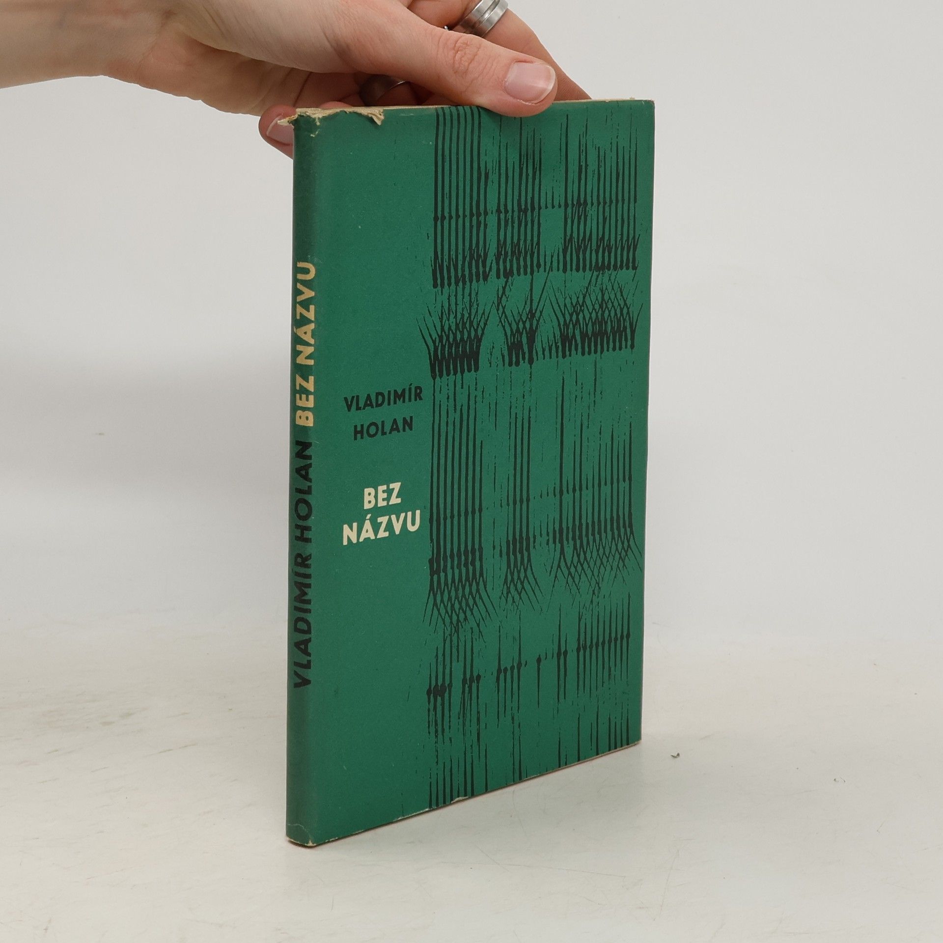 Vladimír Holan Bez názvu