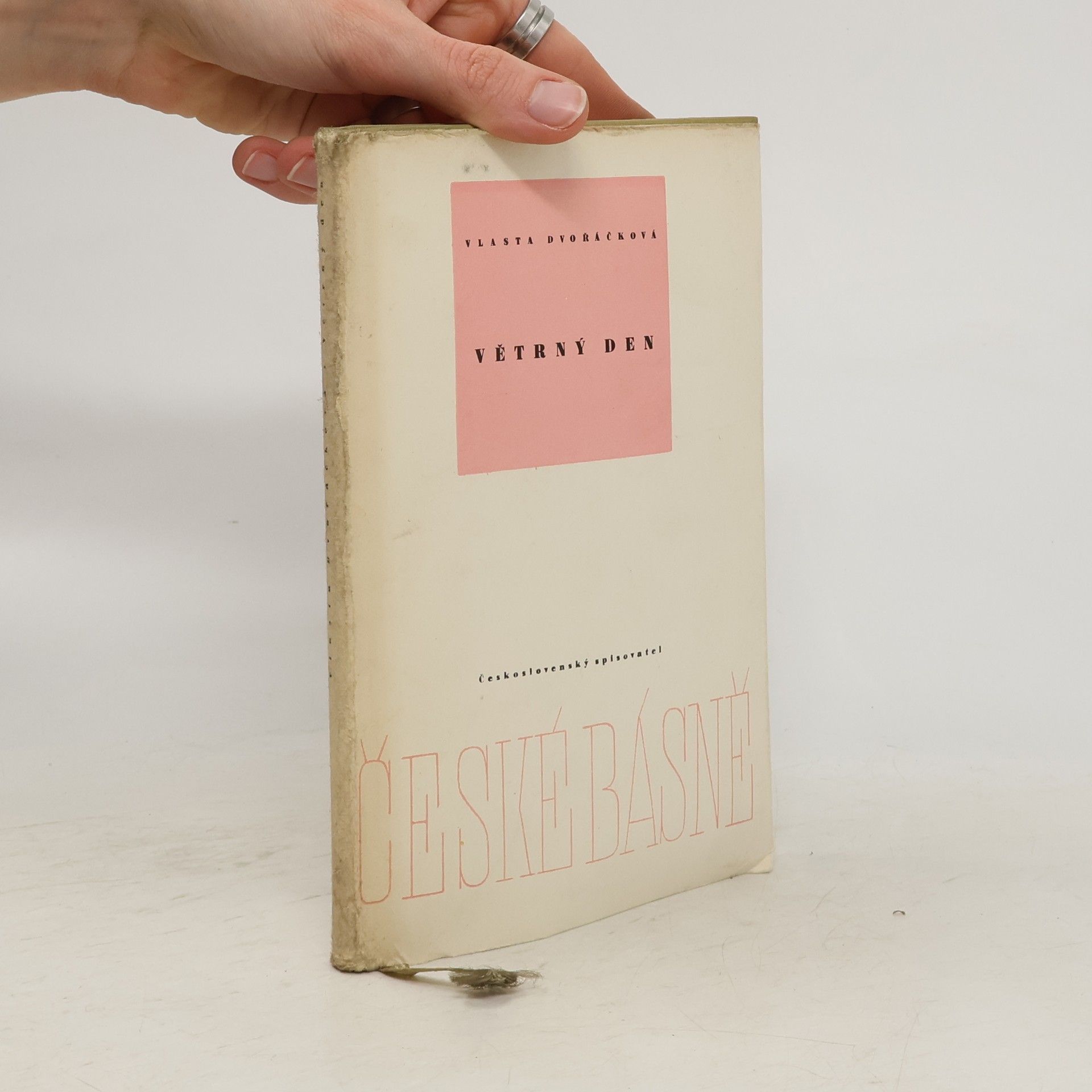 Vlasta Dvořáčková Větrný den