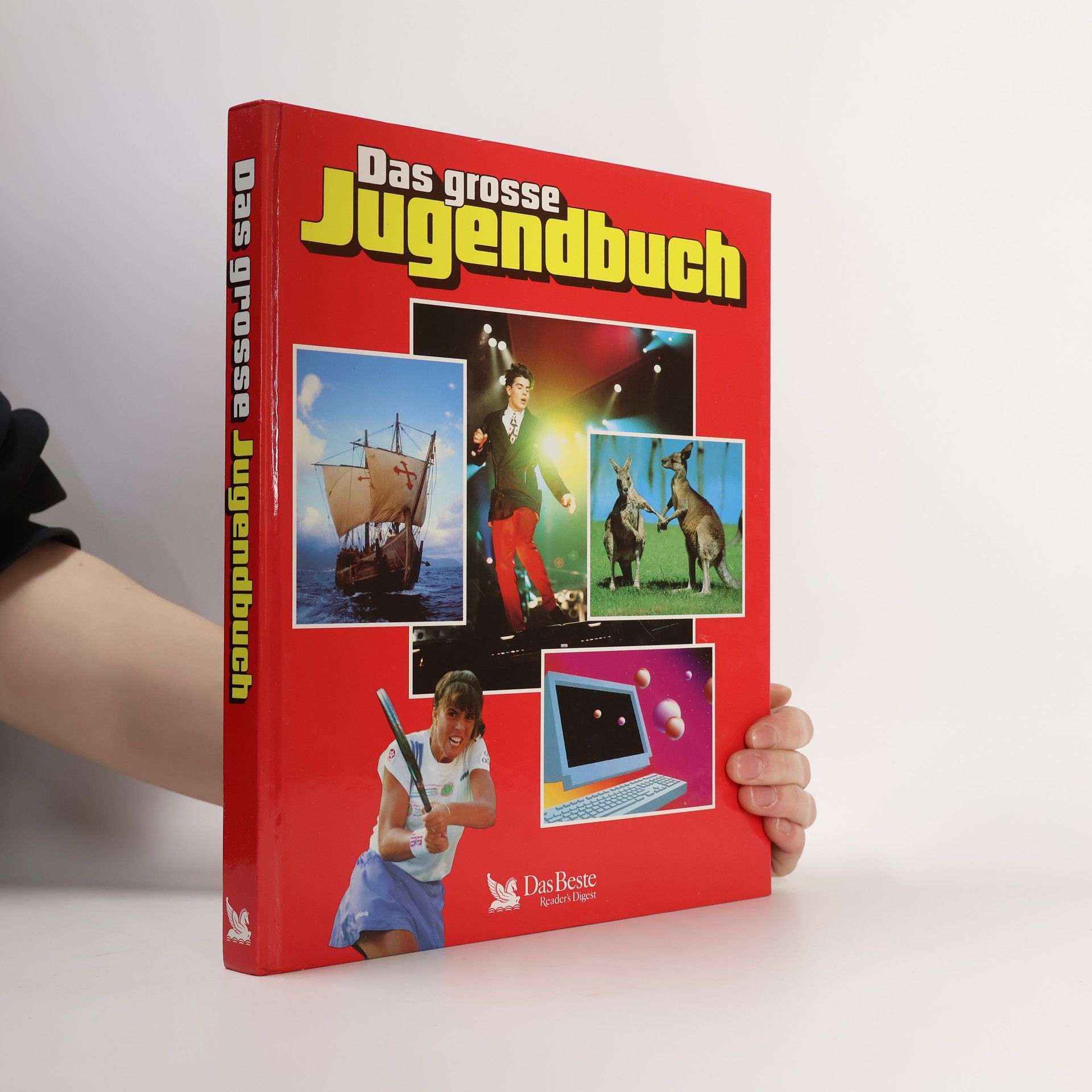 Kolektiv autorů Das grosse Jugendbuch