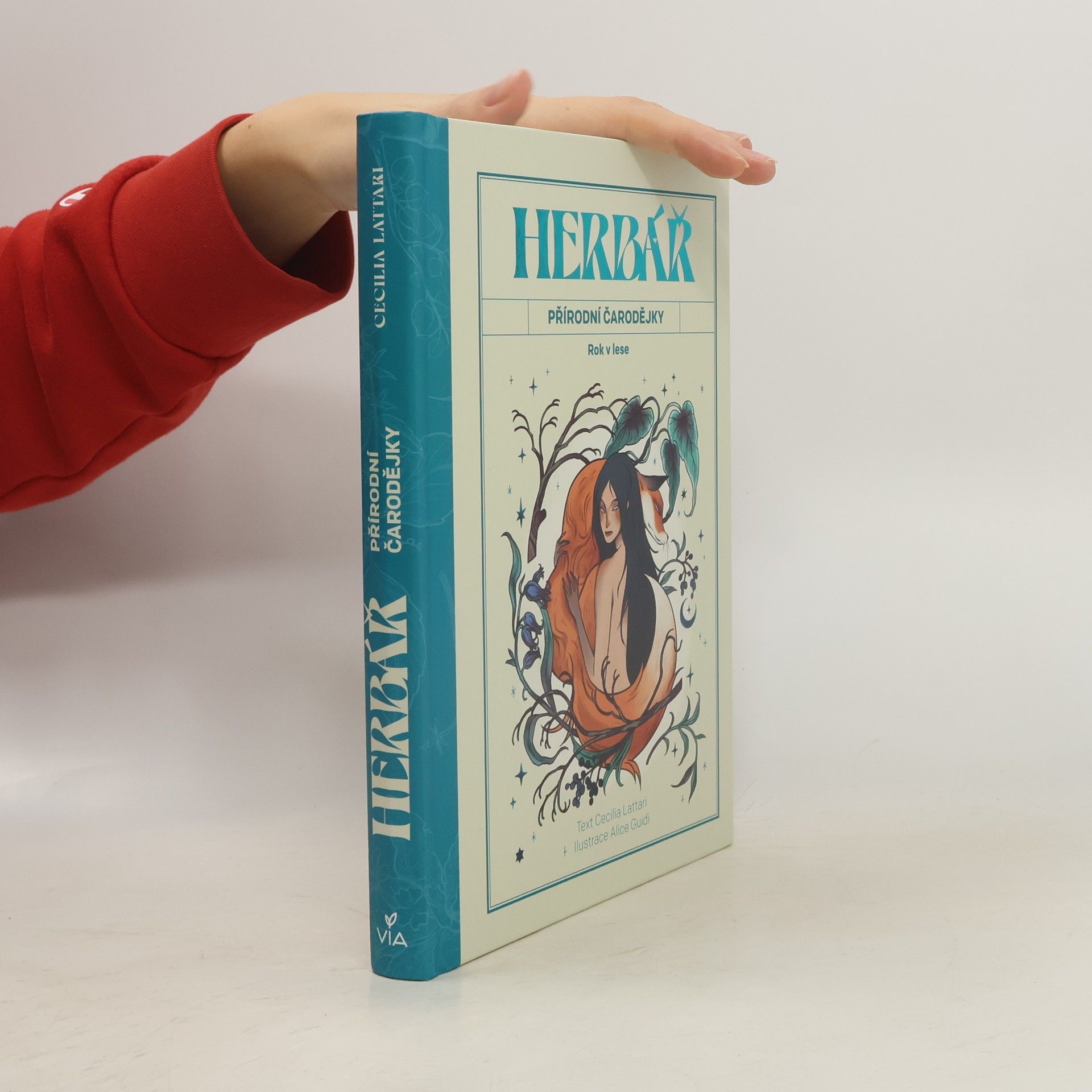 Cecilia Lattari Herbář přírodní čarodějky : rok v lese