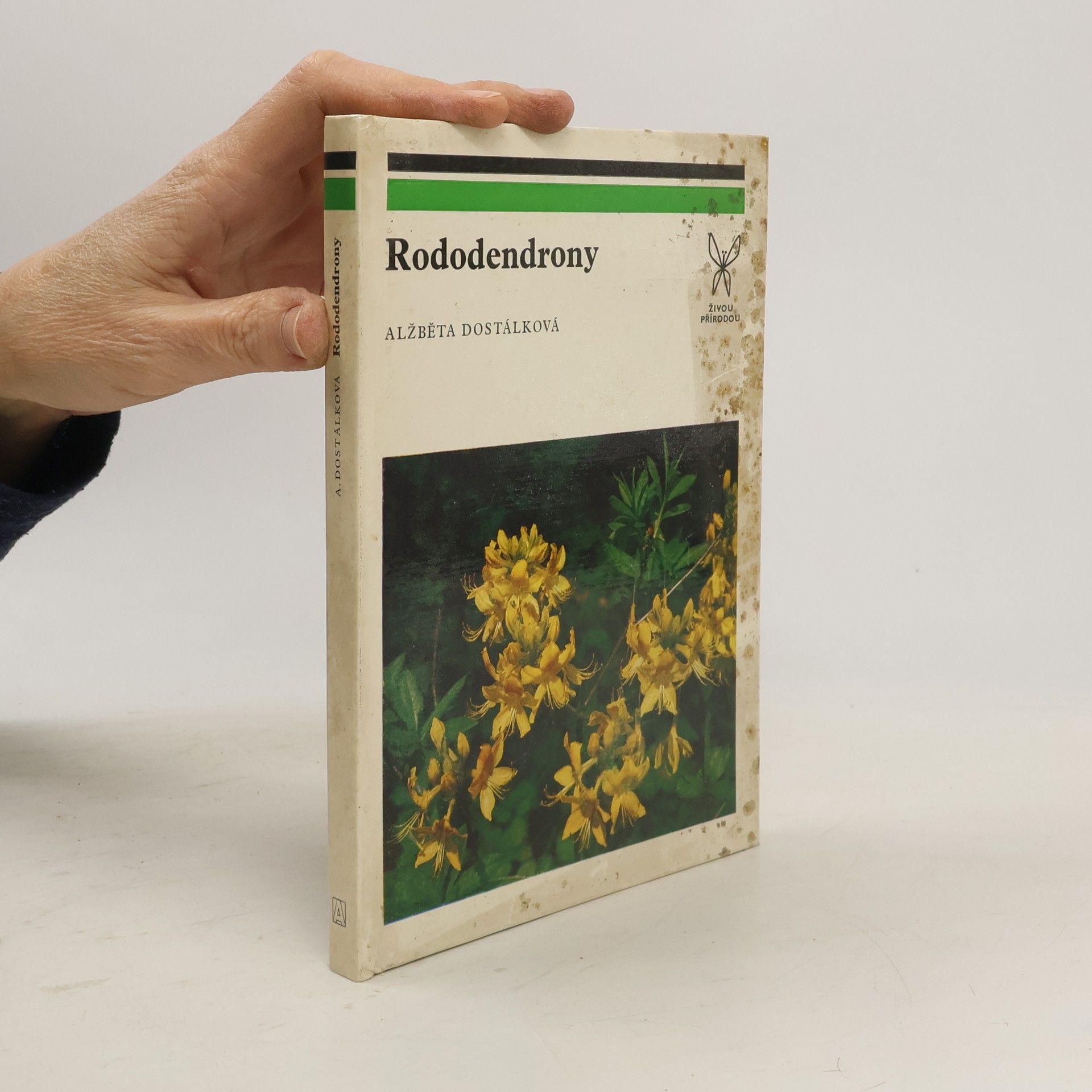 Alžběta Dostálková Rododendrony