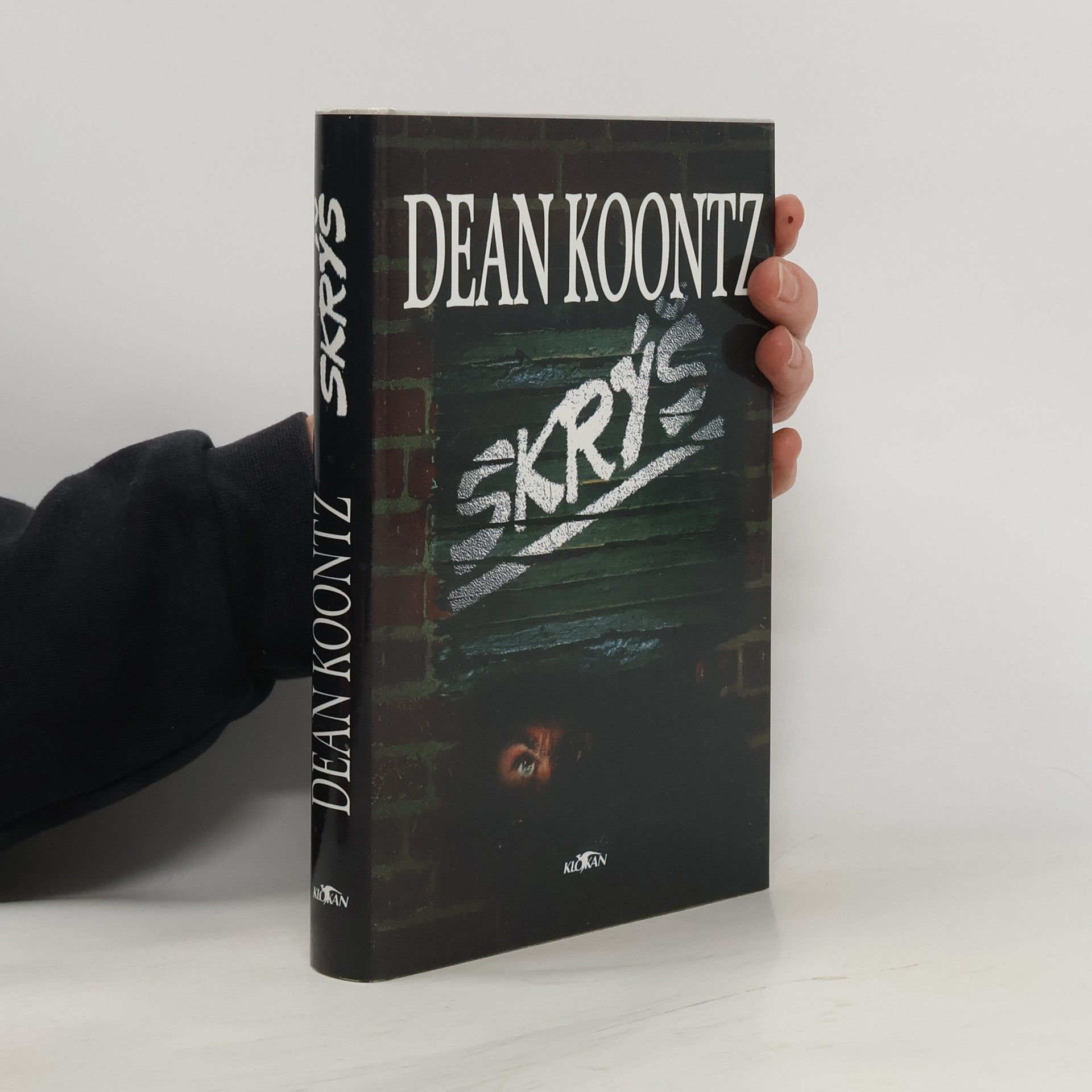 Dean R. Koontz Skrýš