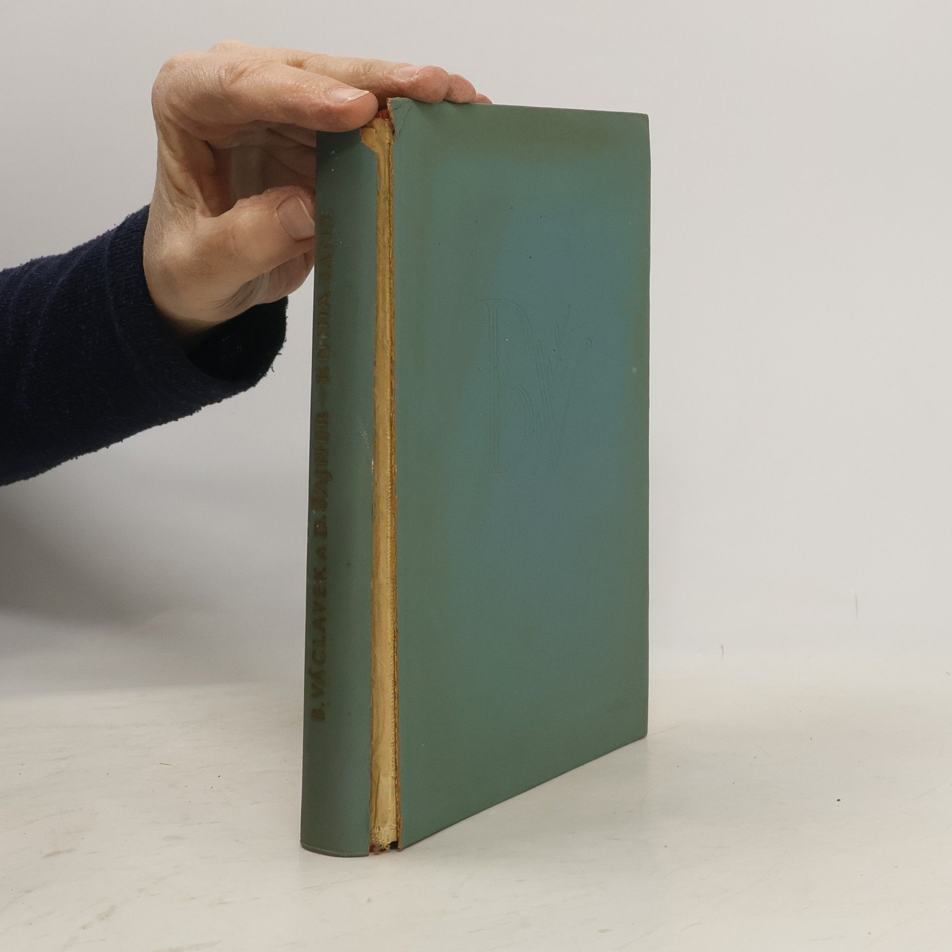 B. Václavek  Kniha satir