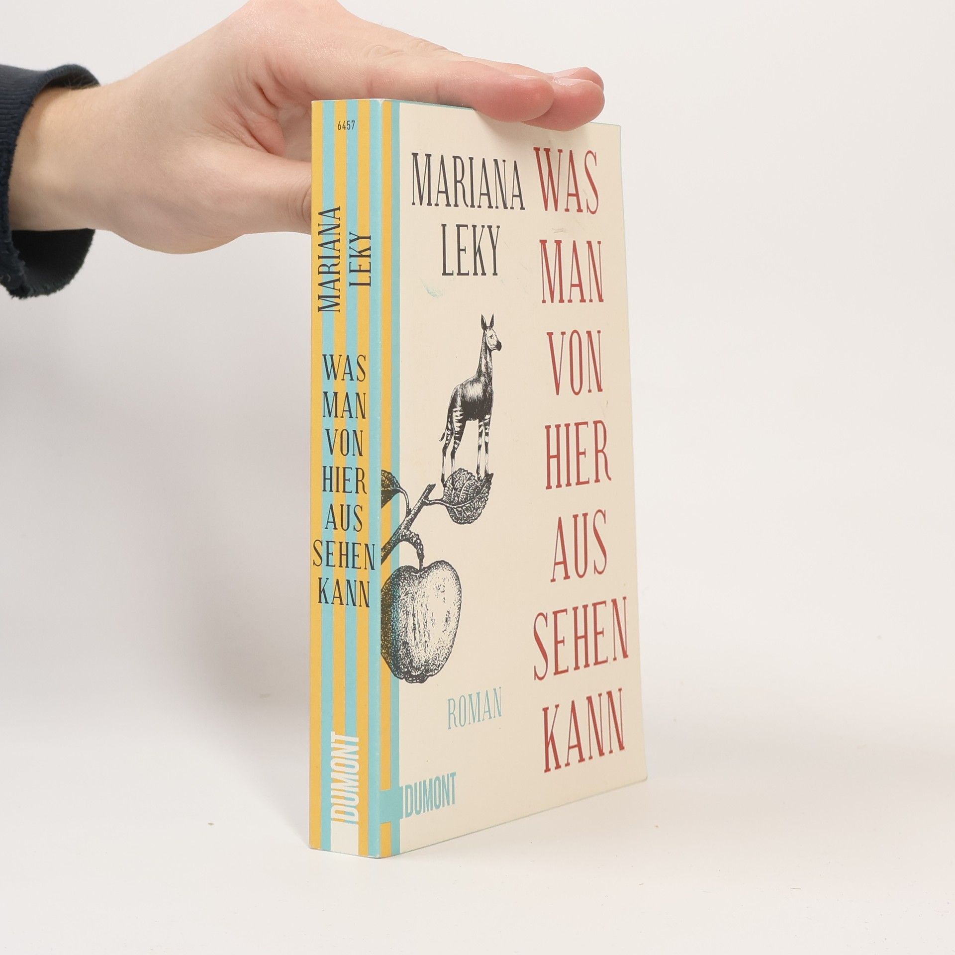 Mariana Leky Was man von hier aus sehen kann