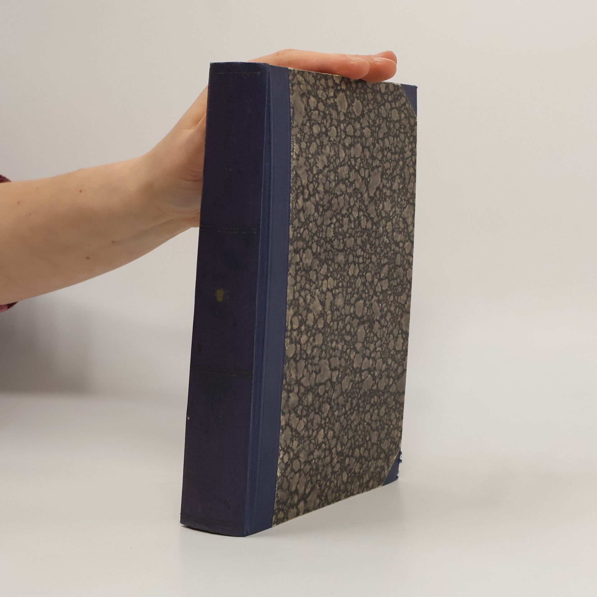 Boleslav S. Horský Ilustrovaný domácí lékař české rodiny