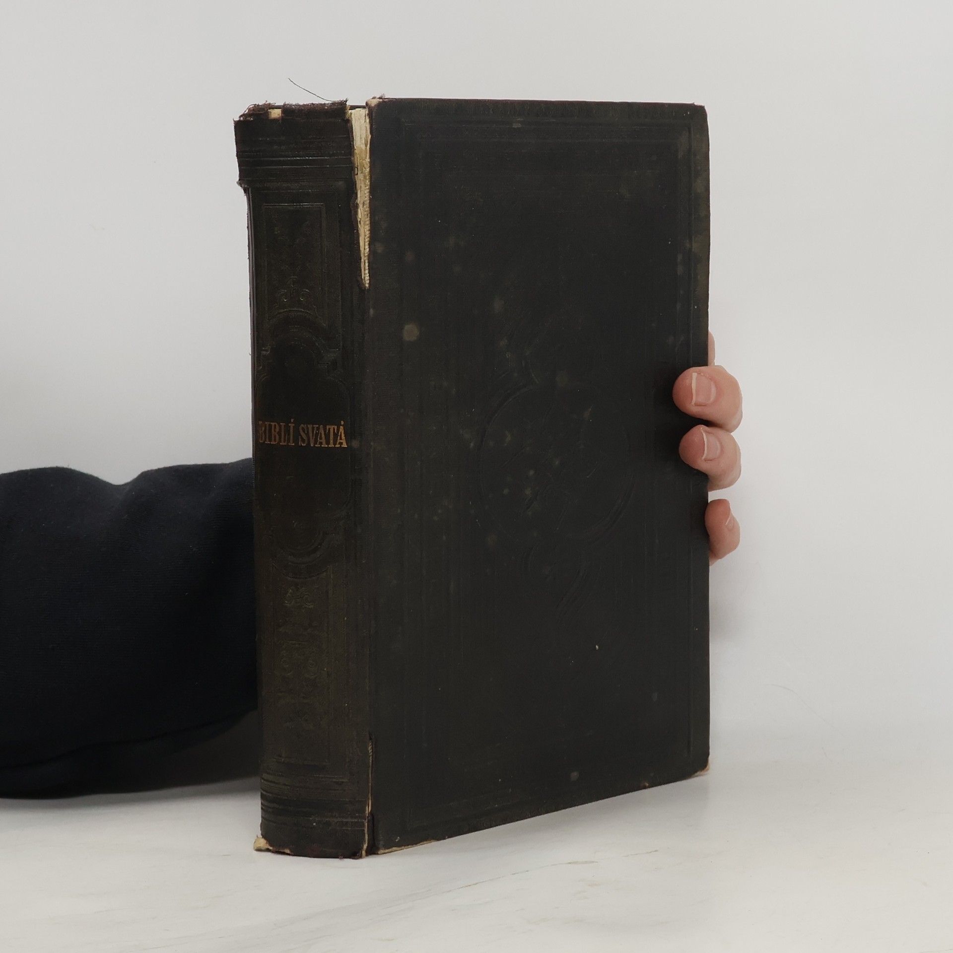 Autorenkollektiv Biblí svatá aneb Všecka Svatá písma Starého i Nového zákona