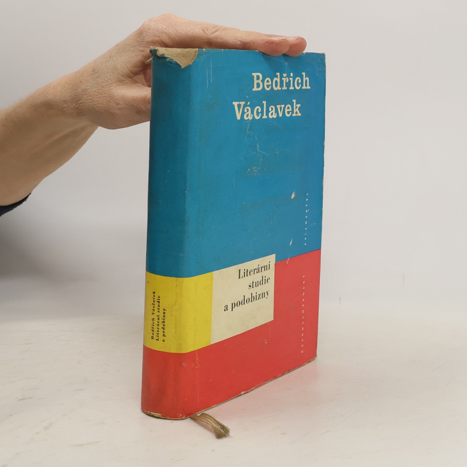 Literární studie a podobizny