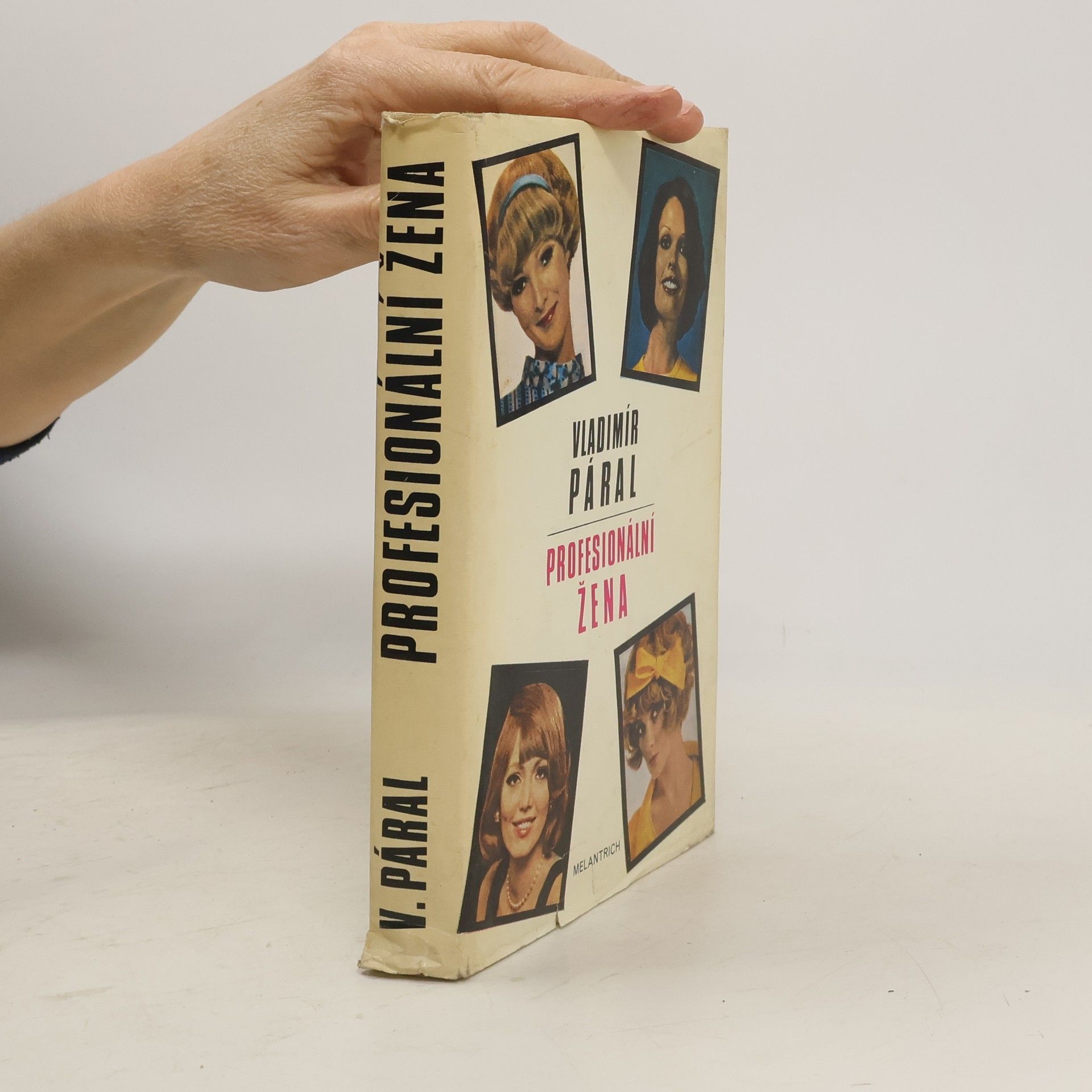 Vladimír Páral Profesionální žena