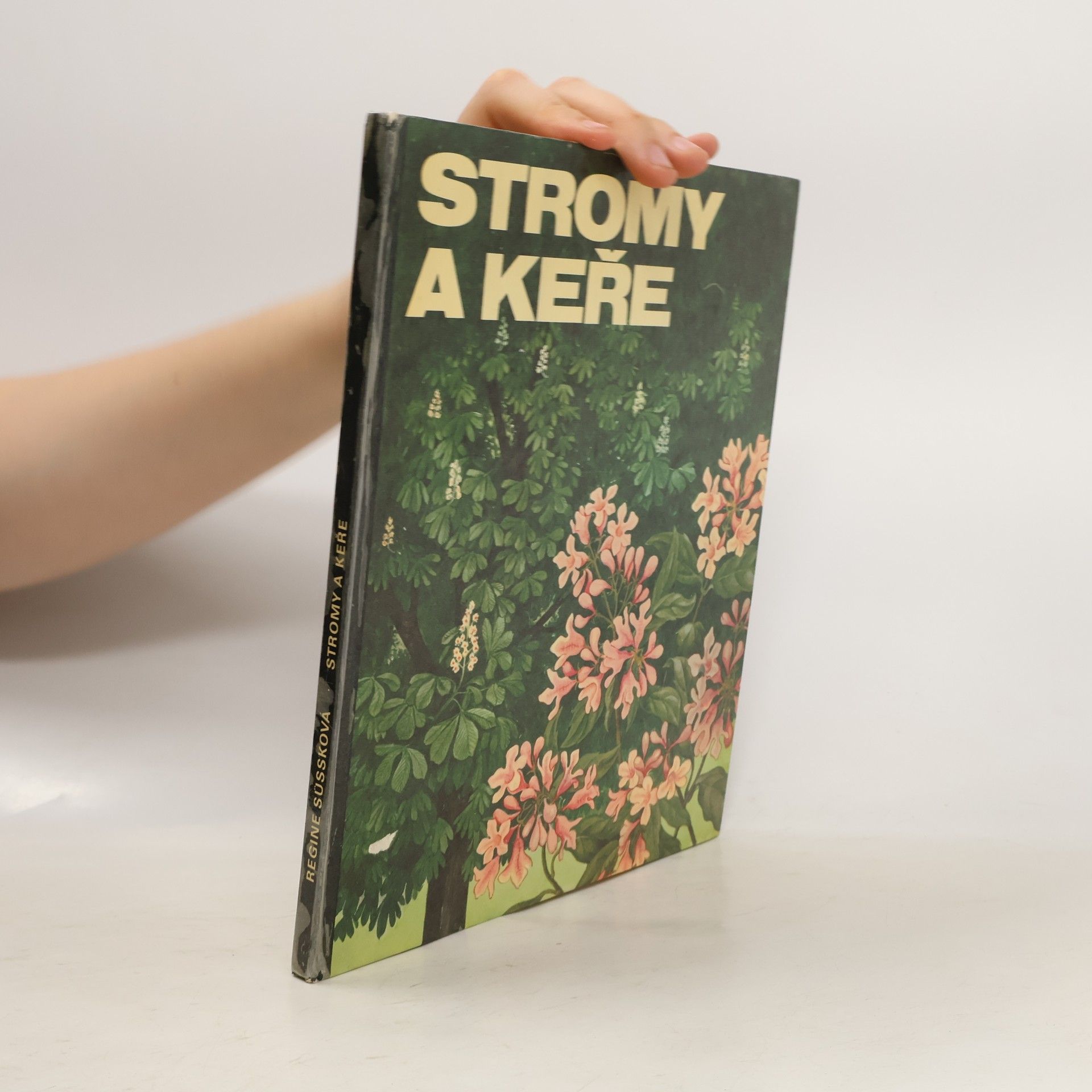 Regine Süssk Stromy a keře