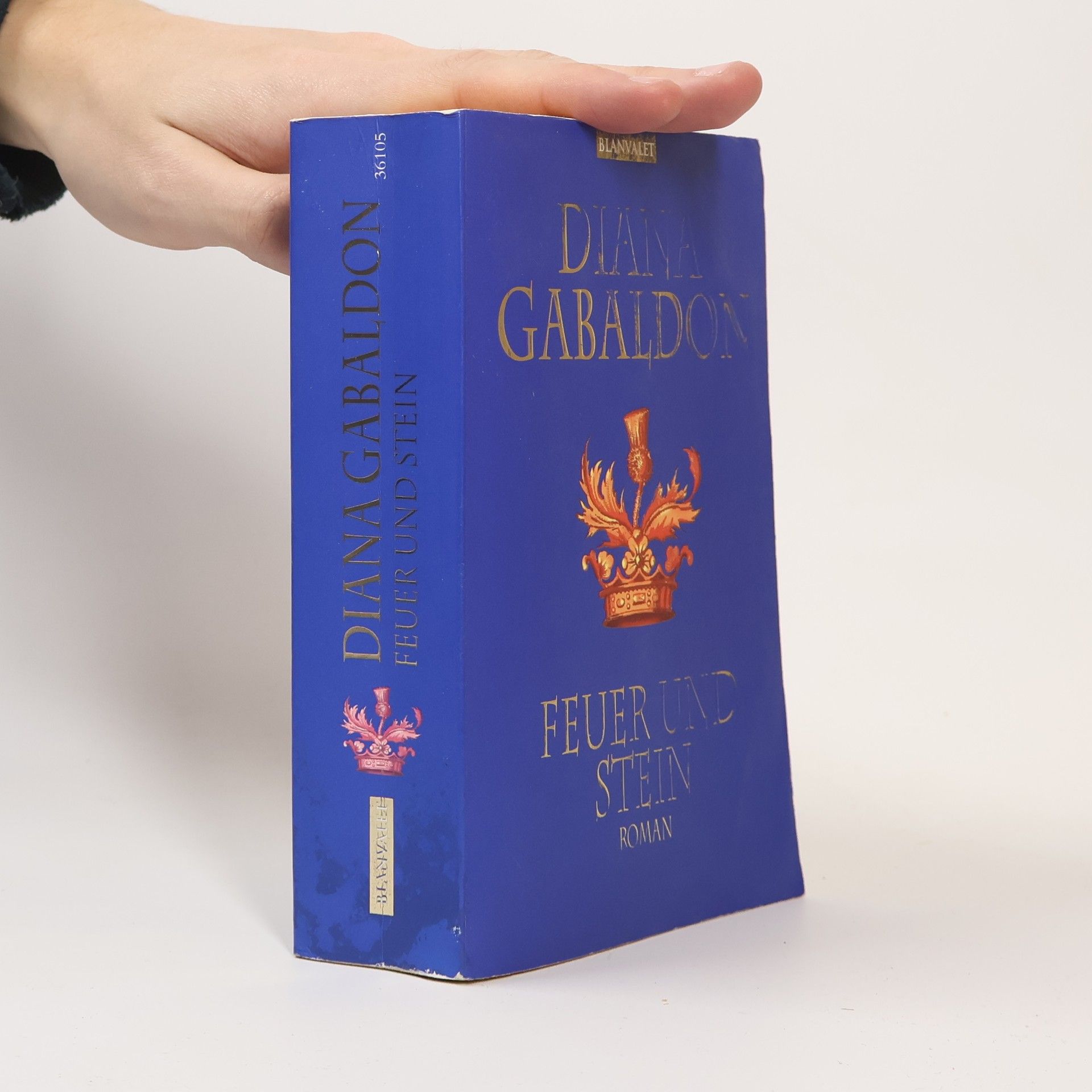 Diana Gabaldon Feuer und Stein