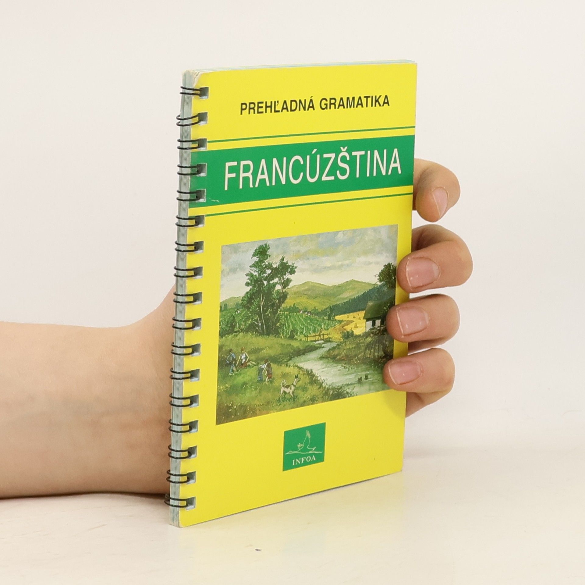 Kolektív autorov Francúzština - Prehl'adná gramatika