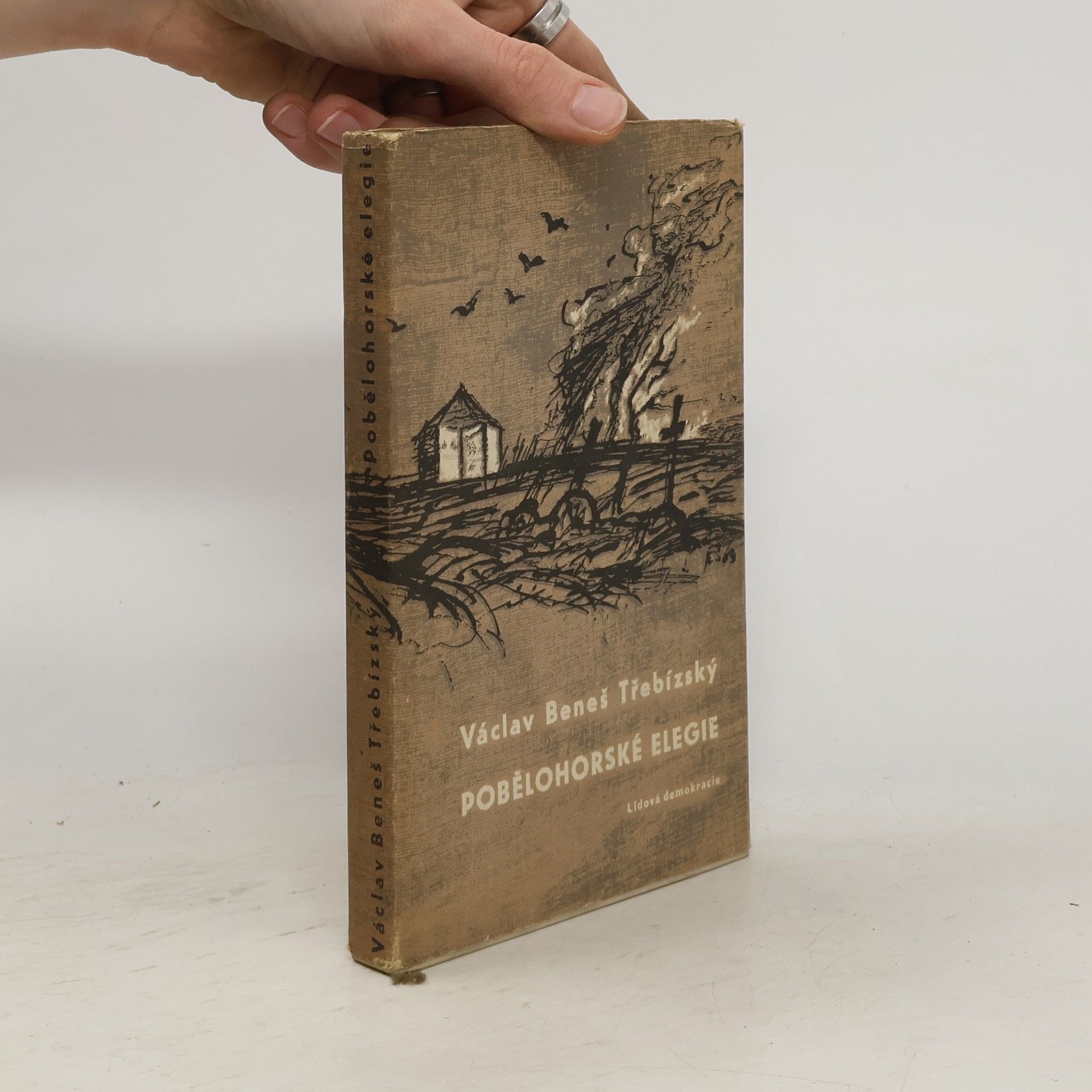 Pobělohorské elegie