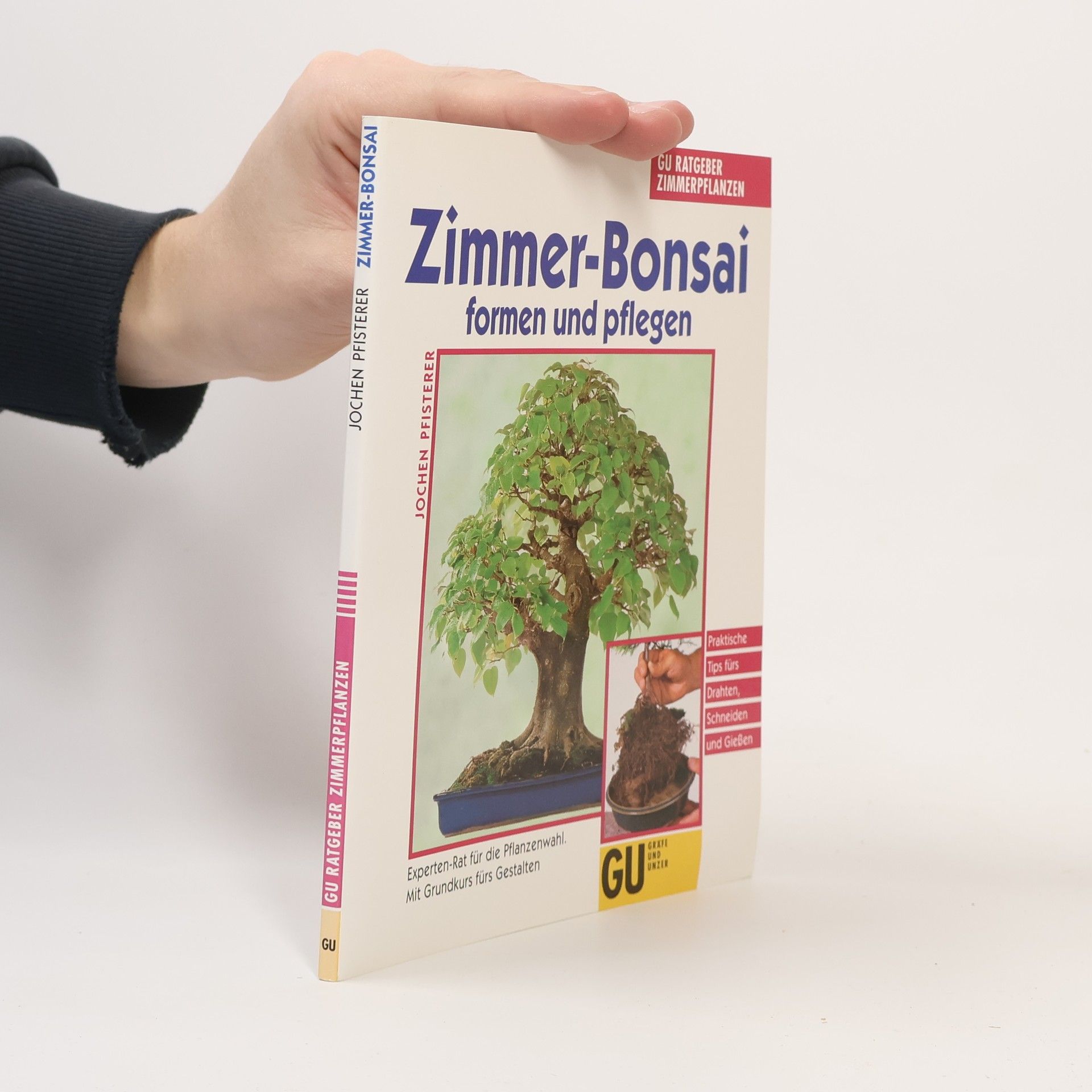 Jochen Pfisterer Zimmer-Bonsai formen und pflegen