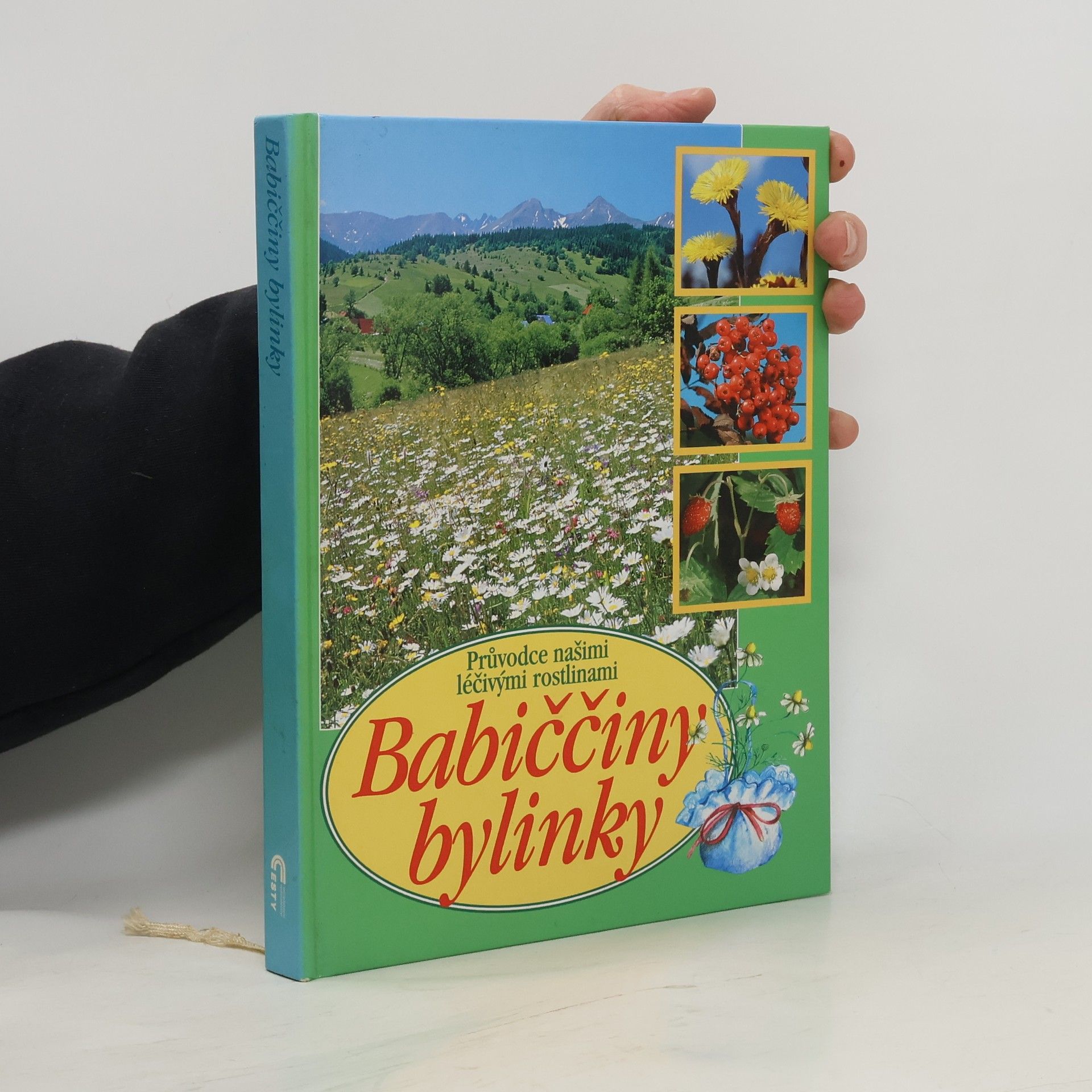 Babiččiny bylinky: Průvodce našimi léčivými rostlinami