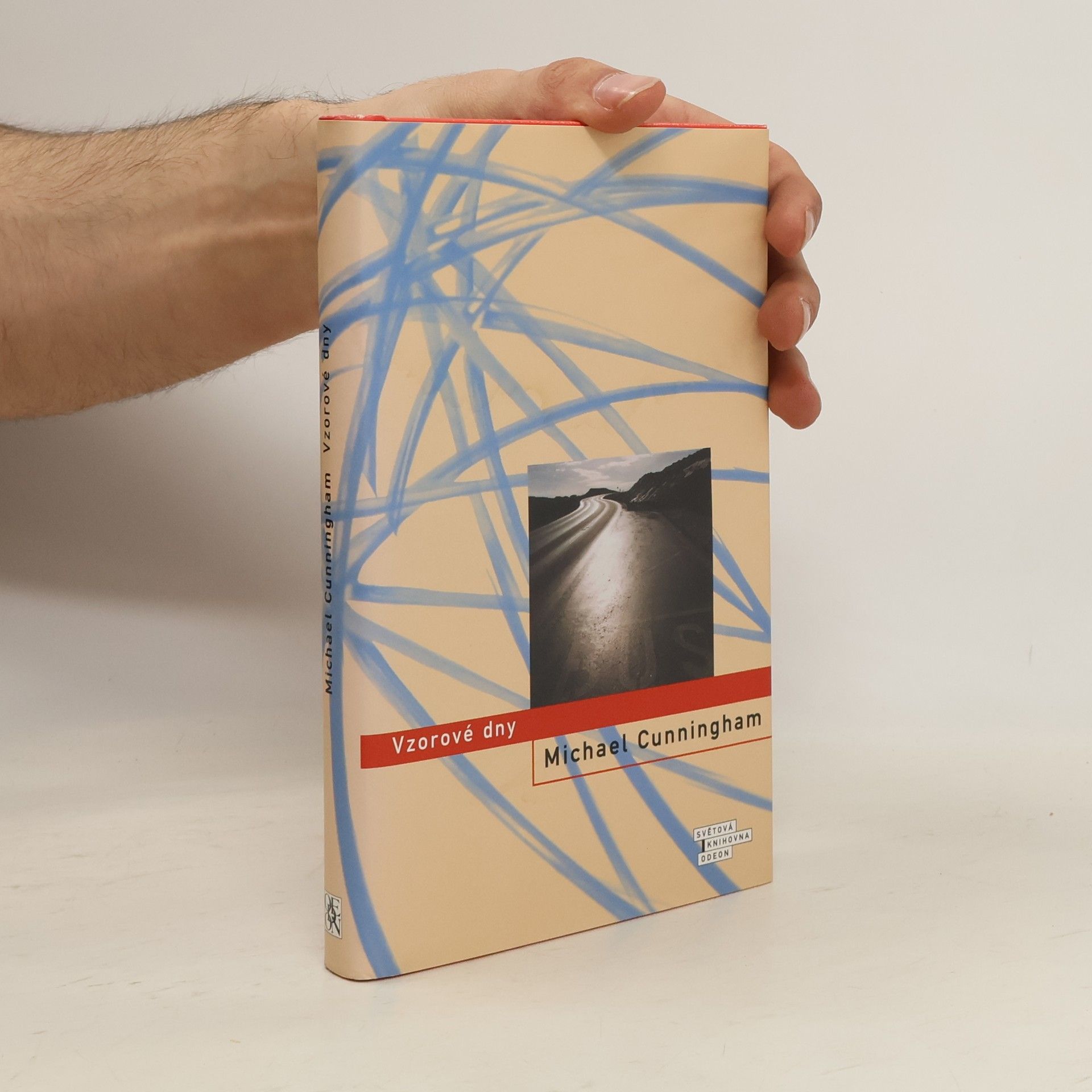 Michael Cunningham Vzorové dny