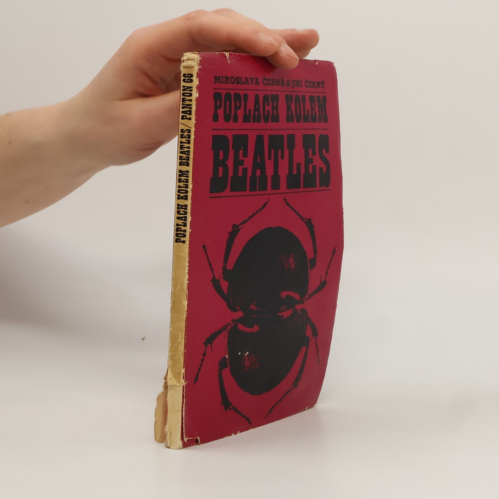 Miroslava Černá Poplach kolem Beatles
