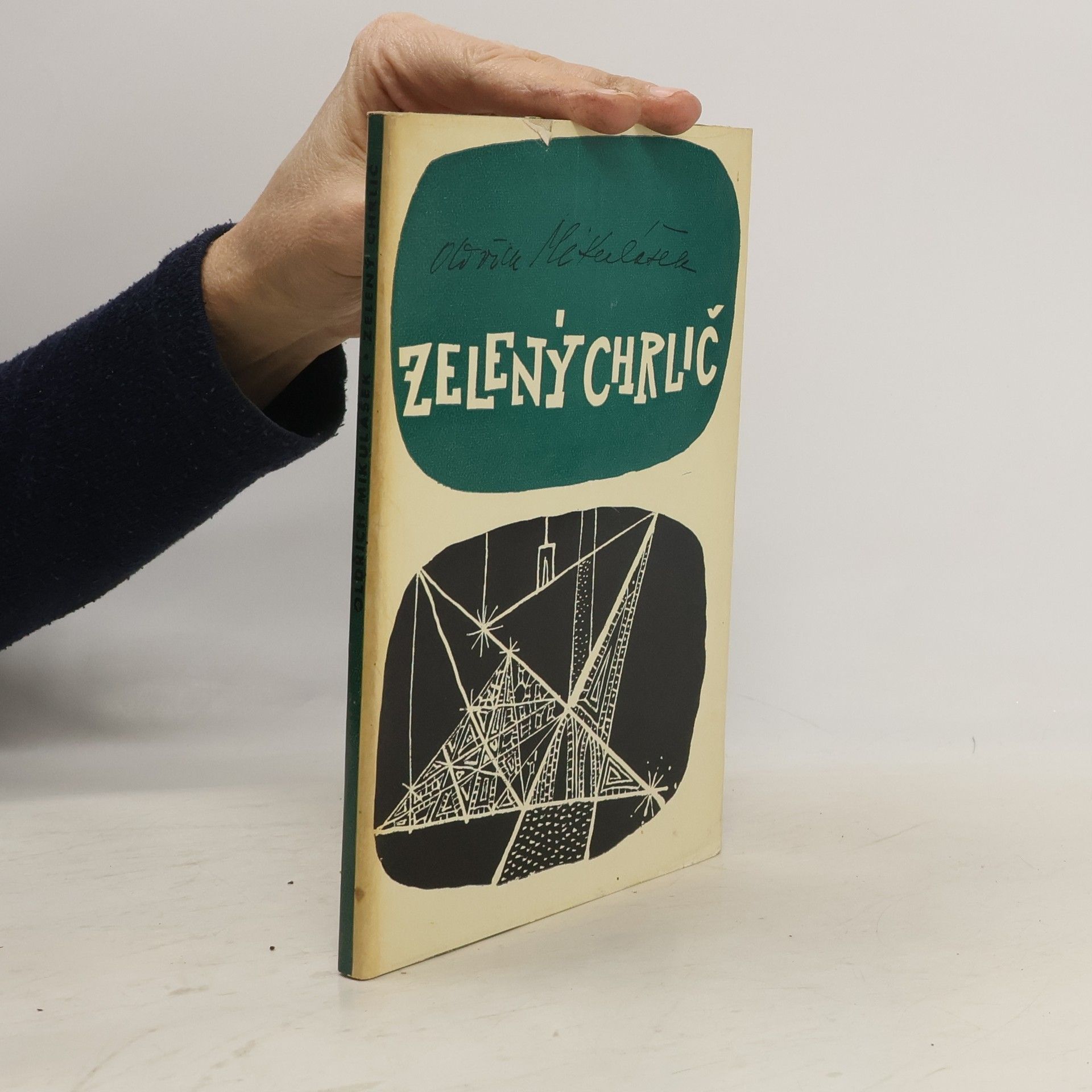 Oldřich Mikulášek Zelený chrlič : Verše o Brně