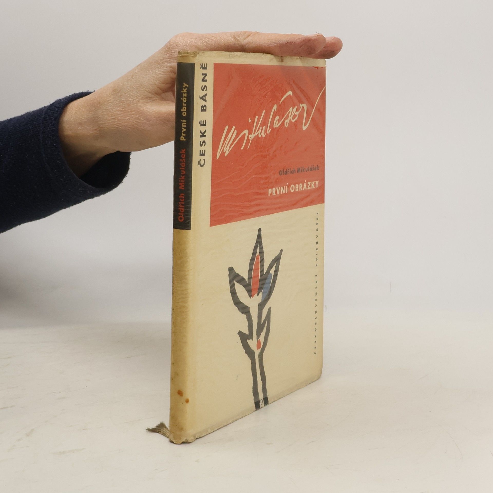 Oldřich Mikulášek První obrázky
