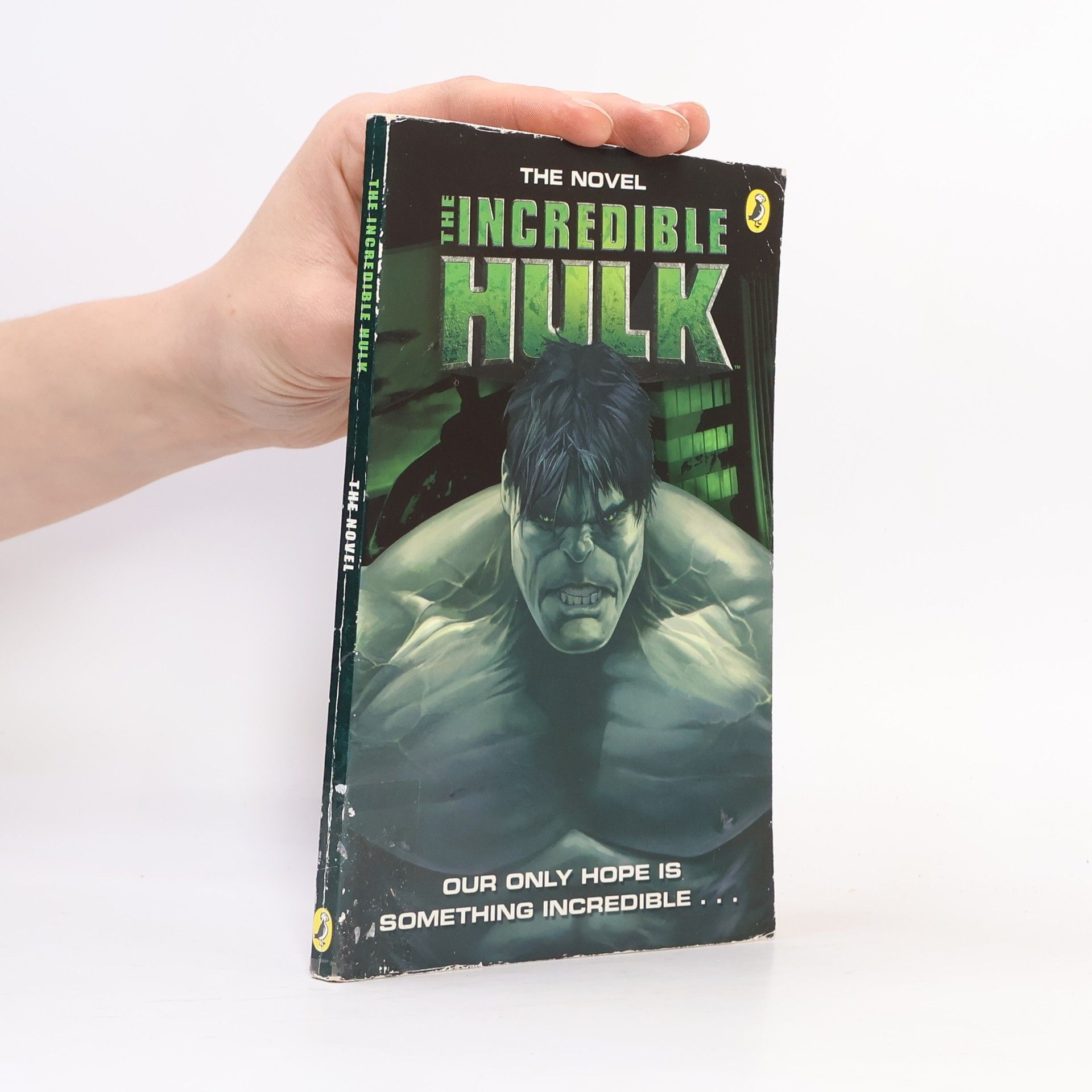 J. E. Bright The Incredible Hulk Movie Novelisation