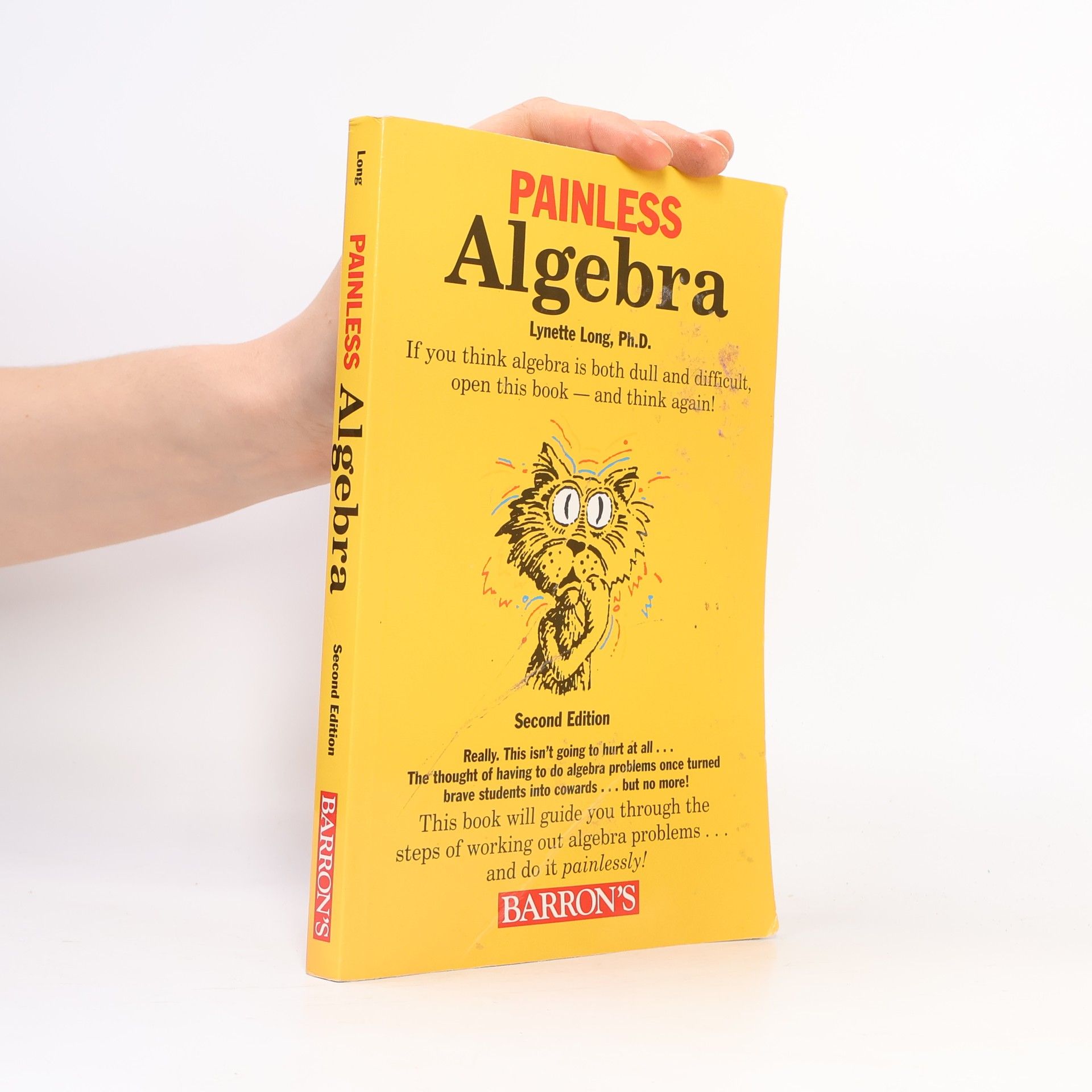 Lynette Long Painless Algebra