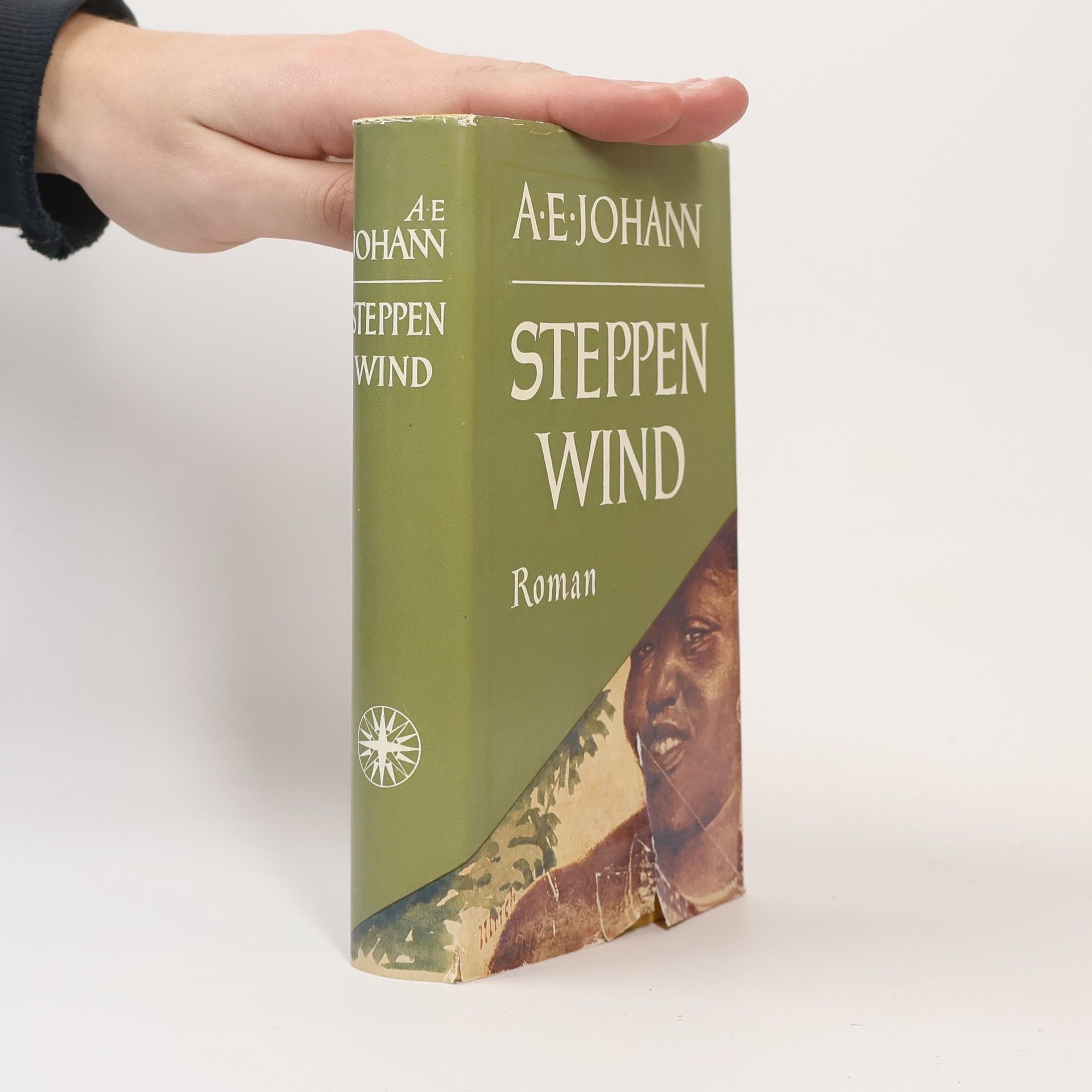 Alfred E. Johann Steppen Wind