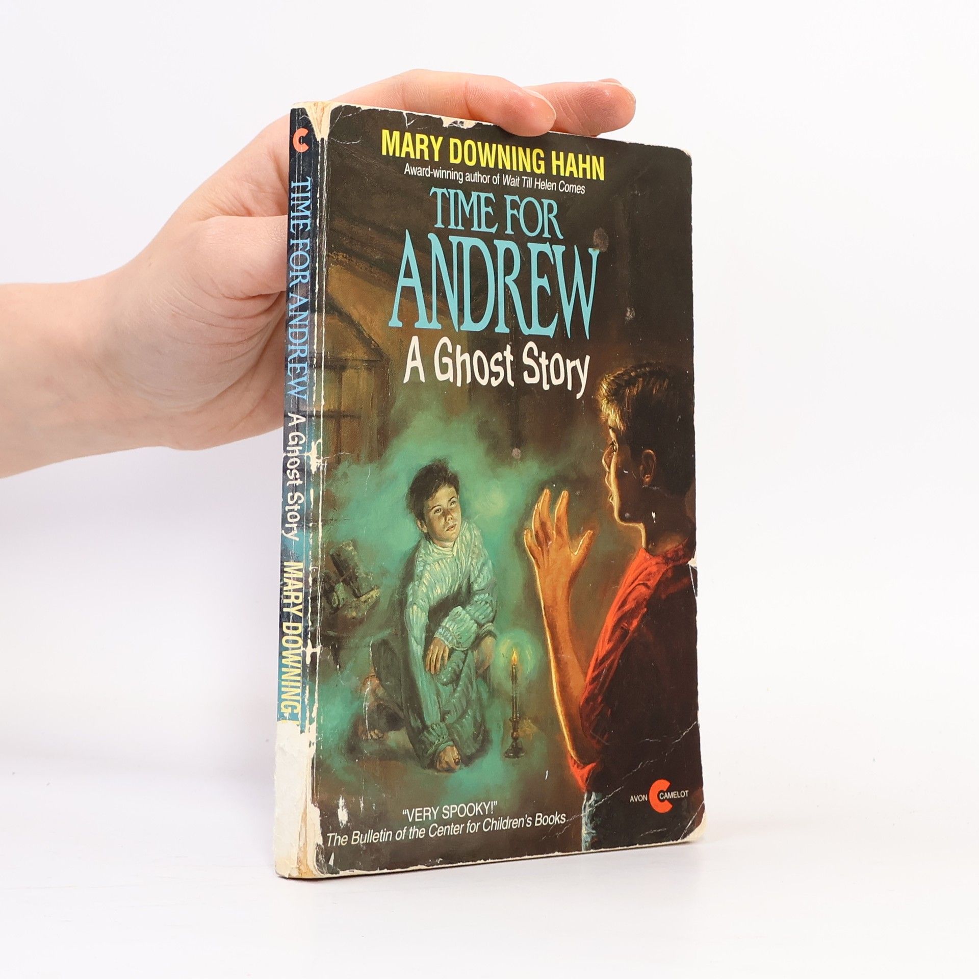 Mary Downing Hahn Camelot: Time for Andrew