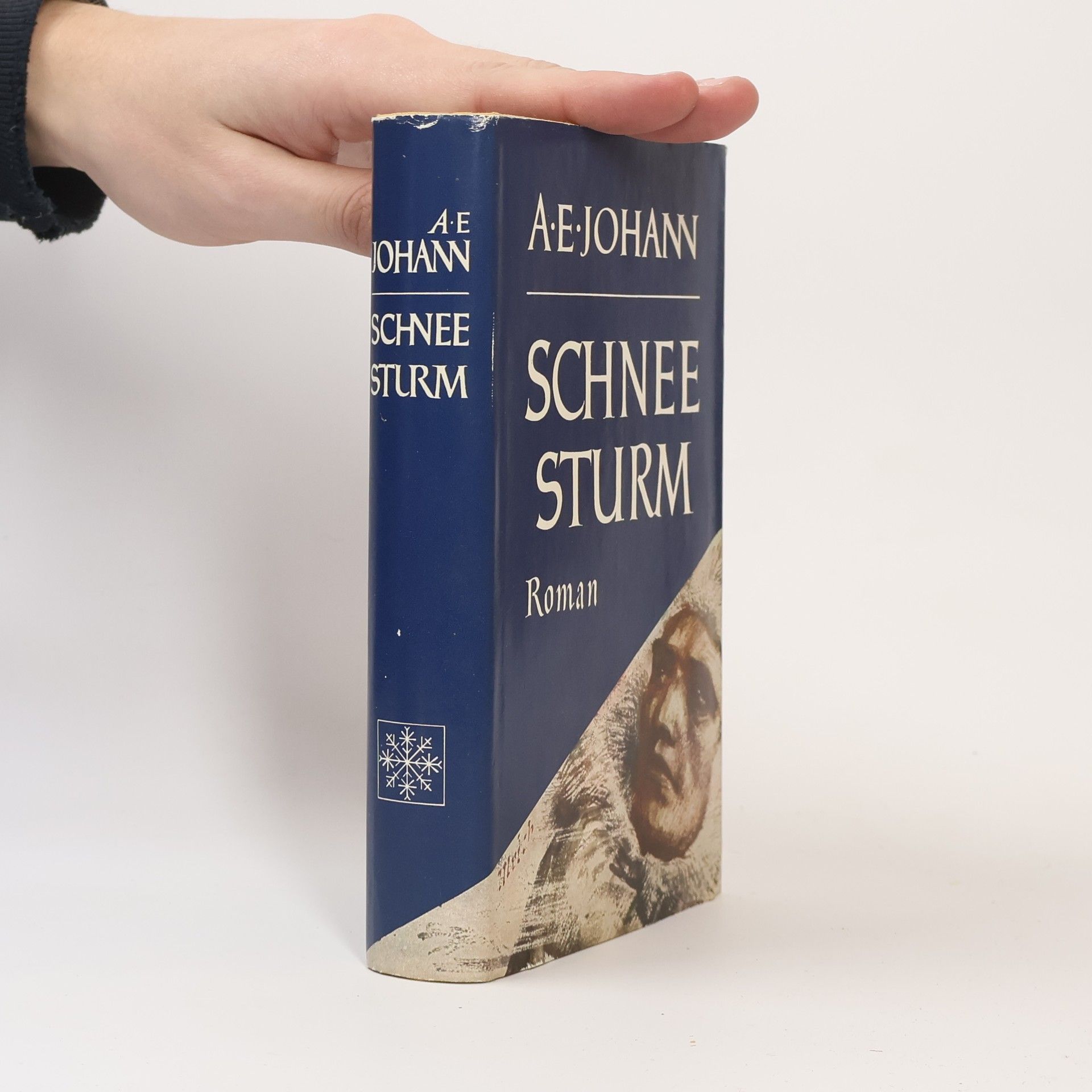 Alfred E. Johann Schneesturm