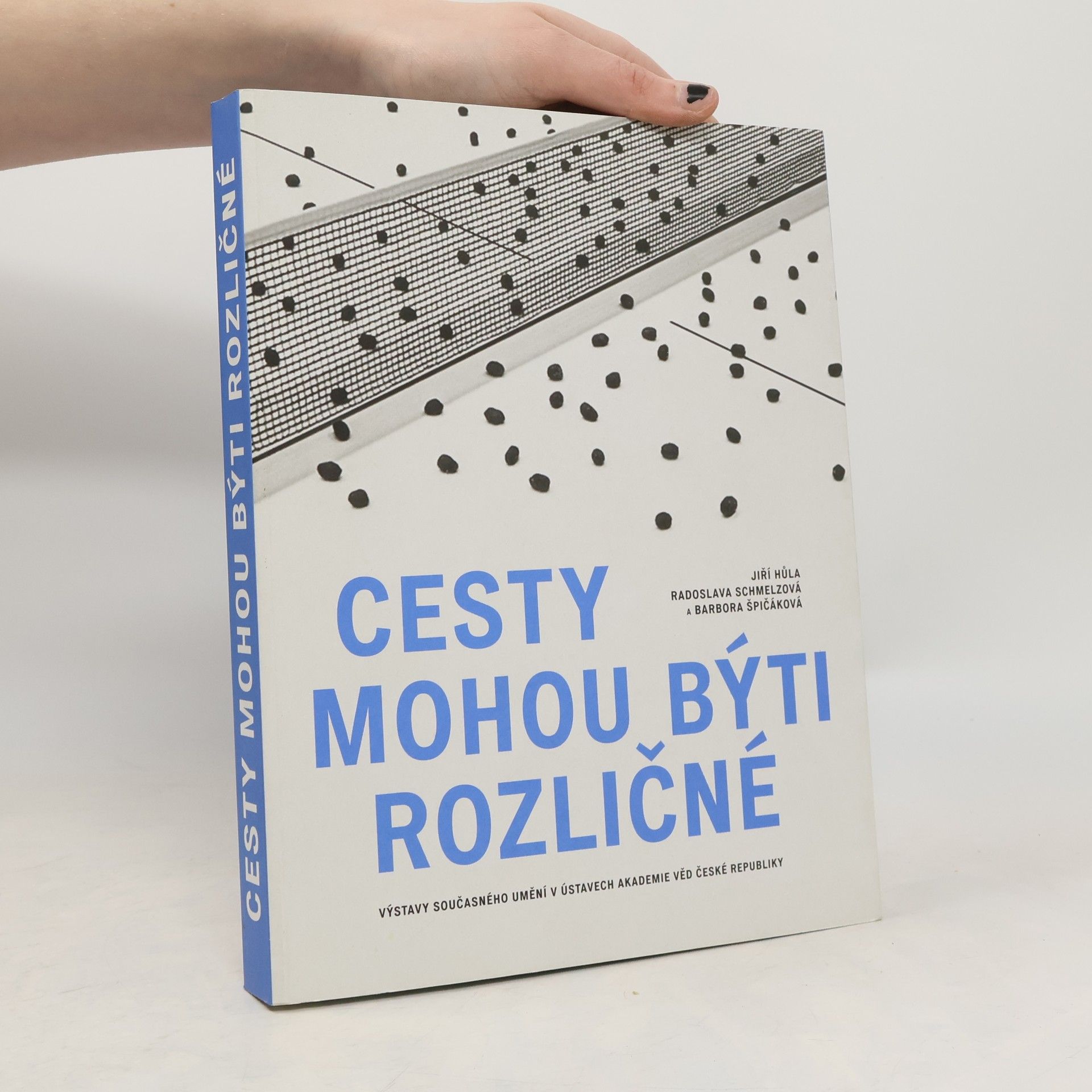 Cesty mohou býti rozličné