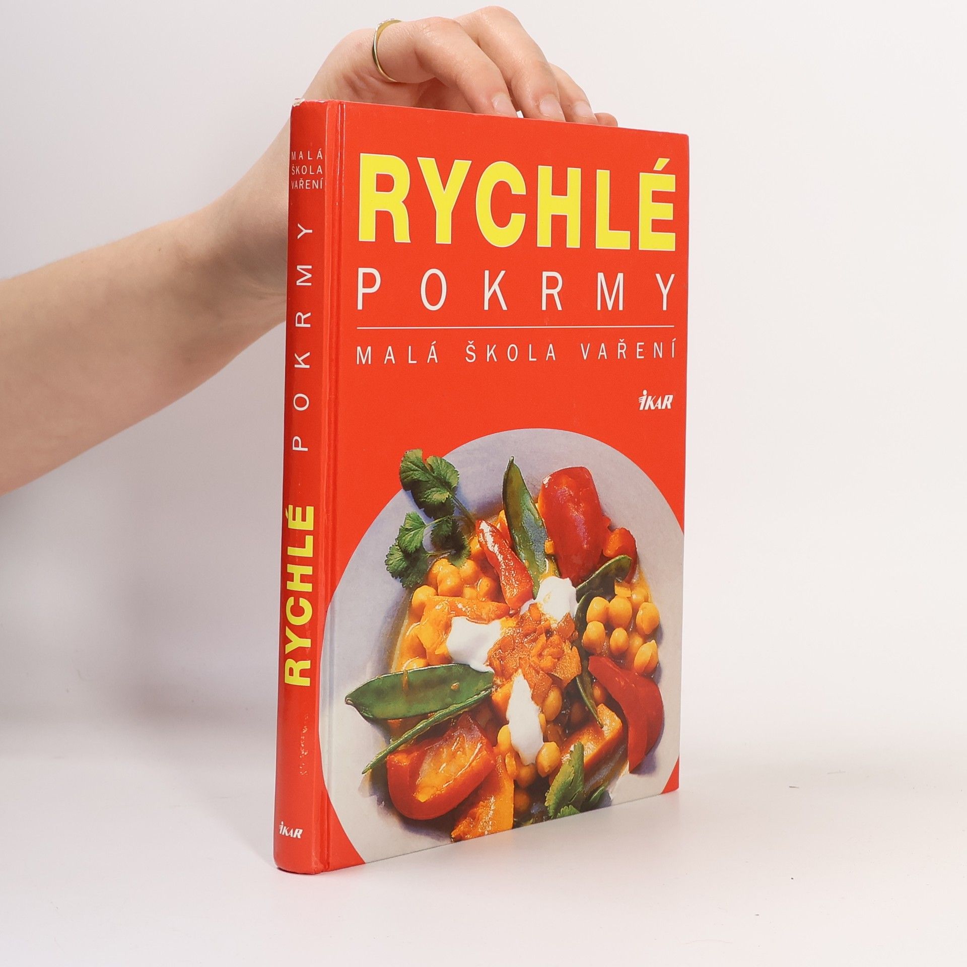 Bea Schaffner Rychlé pokrmy