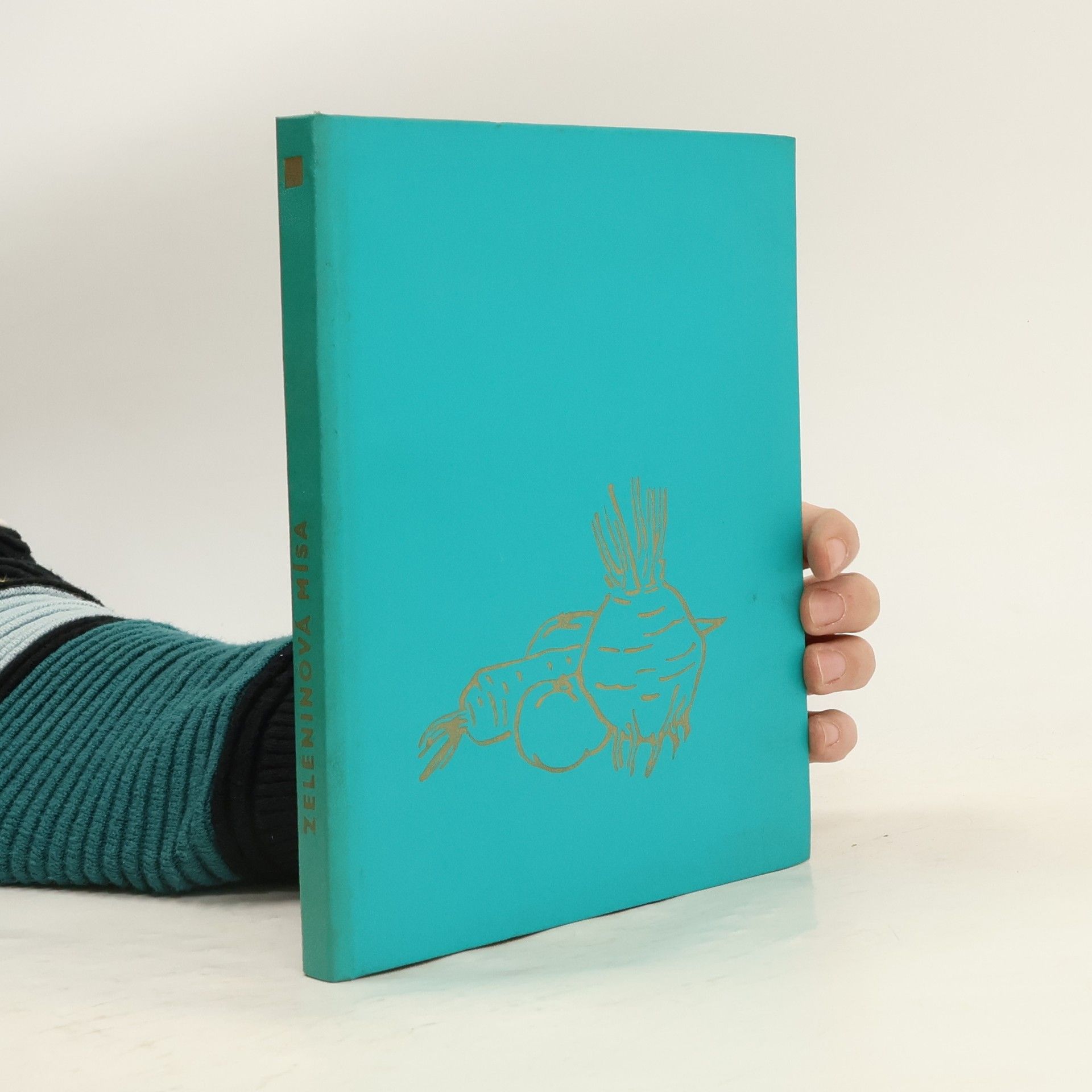 Kolektív autorov Zeleninová mísa