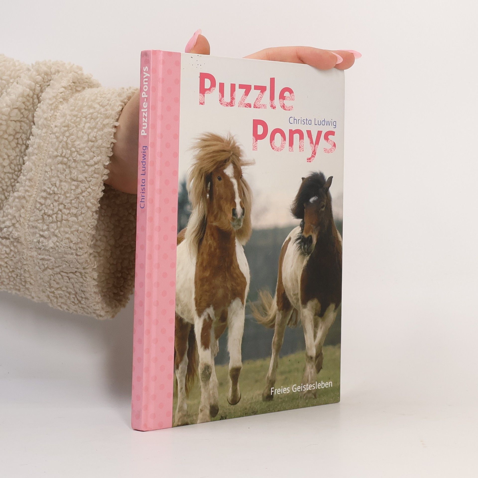 Christa Ludwig Puzzle-Ponys