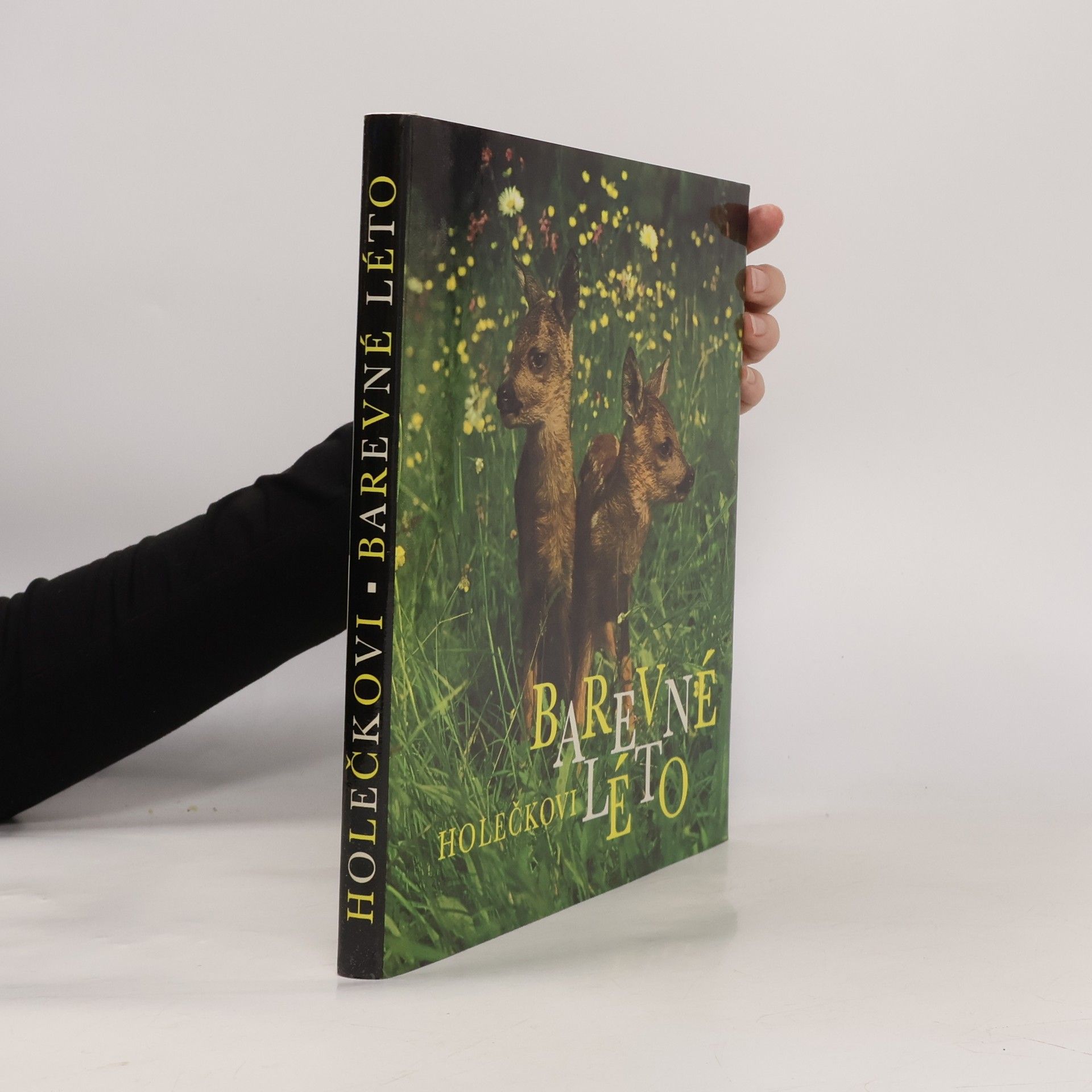 Jaroslav Holeček Barevné léto
