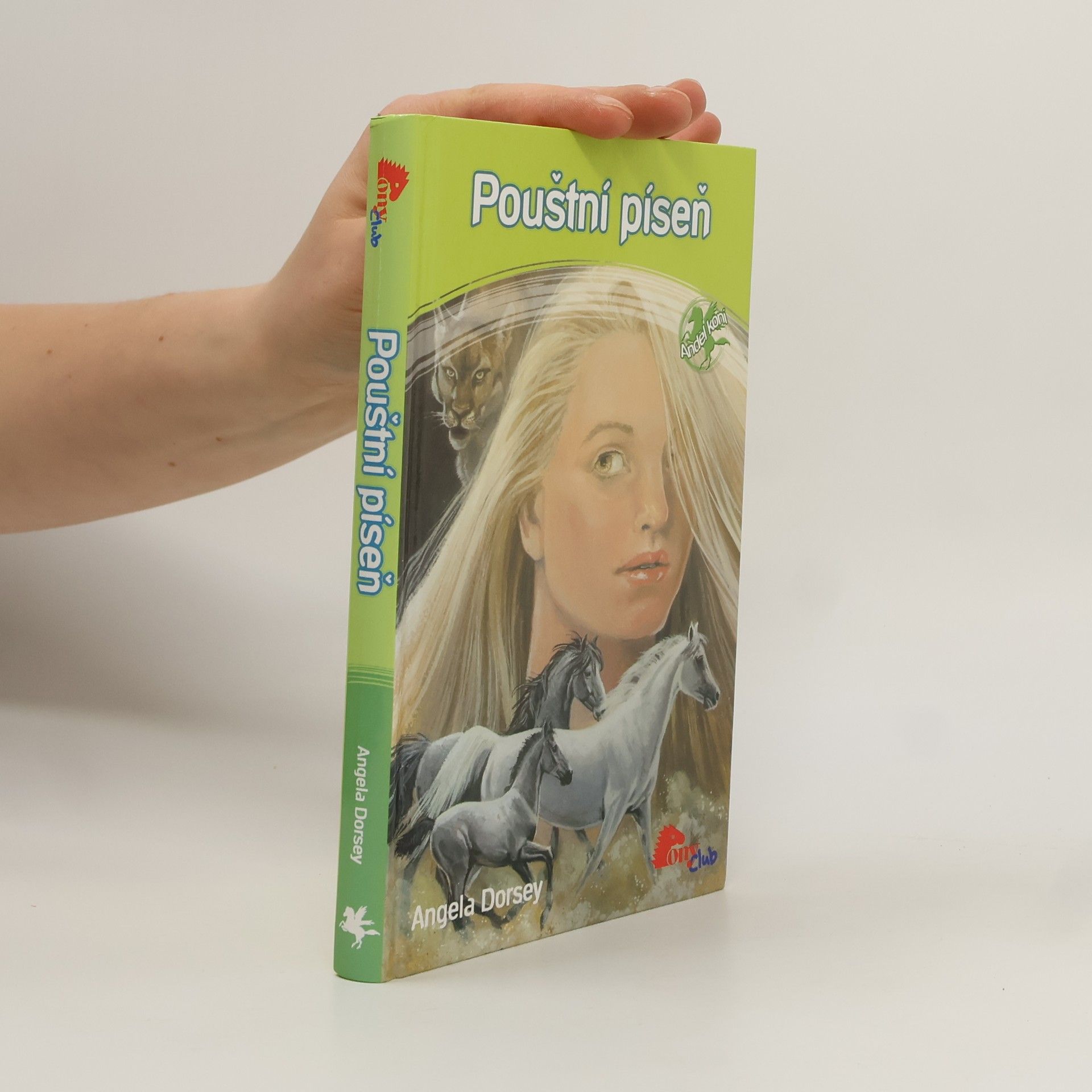 Angela Dorsey Pouštní píseň