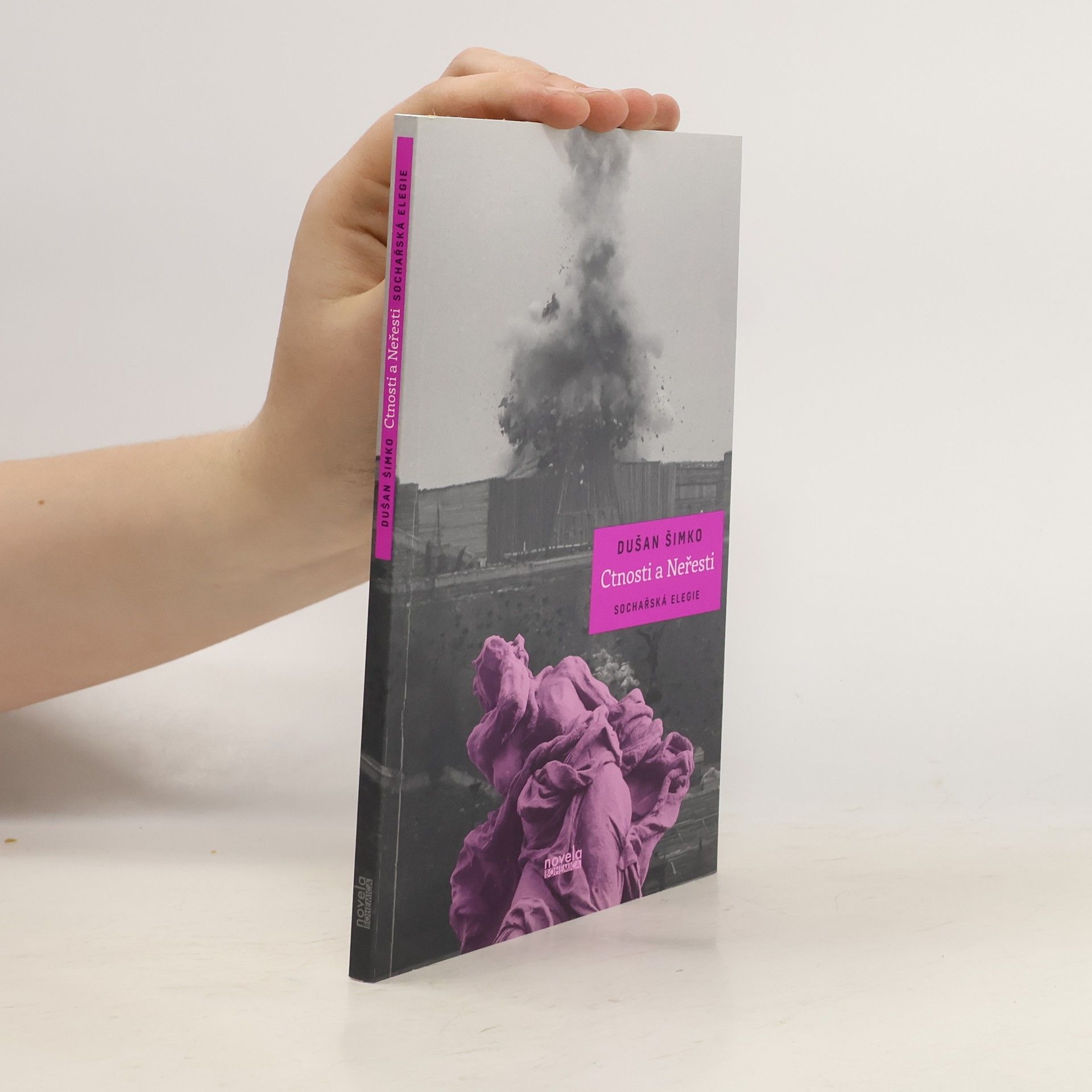 Ctnosti a Neřesti. Sochařská elegie