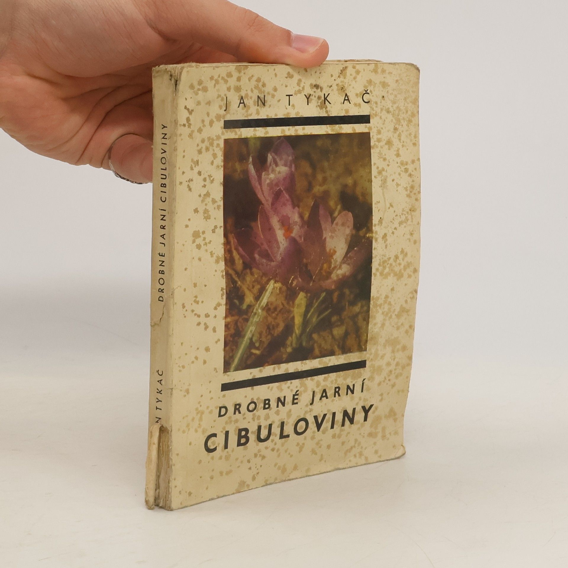 Jan Tykač Drobné jarní cibuloviny